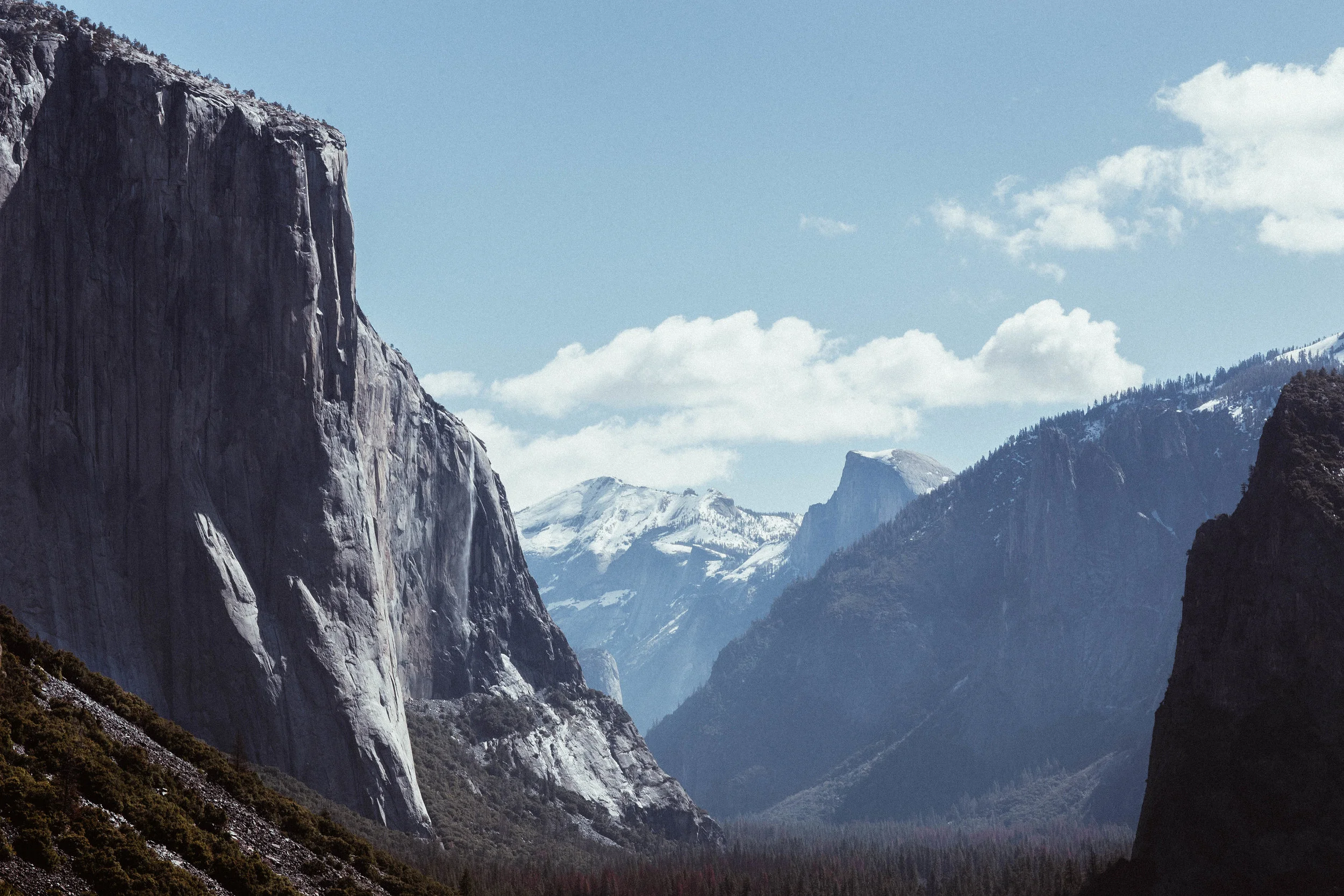 Yosemite Background.jpg
