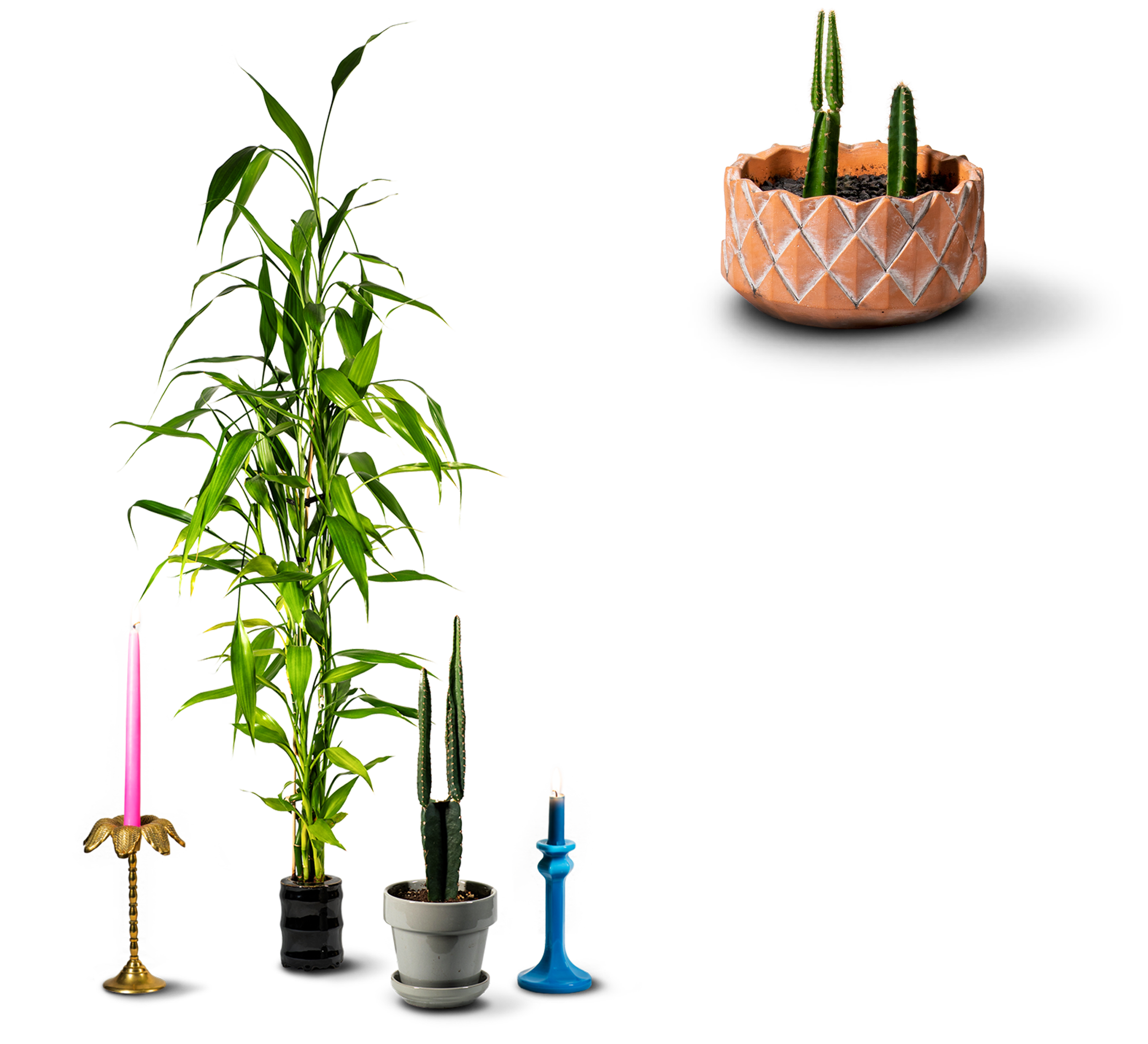 Plant_Layout-2.png