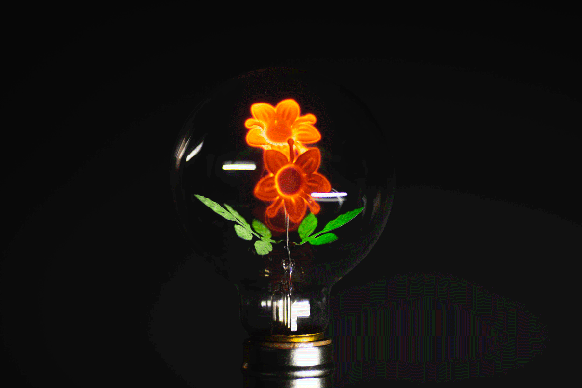 SR_Damar_Flower_Light_Bulb_Timelapse_122920_WEB-1.gif