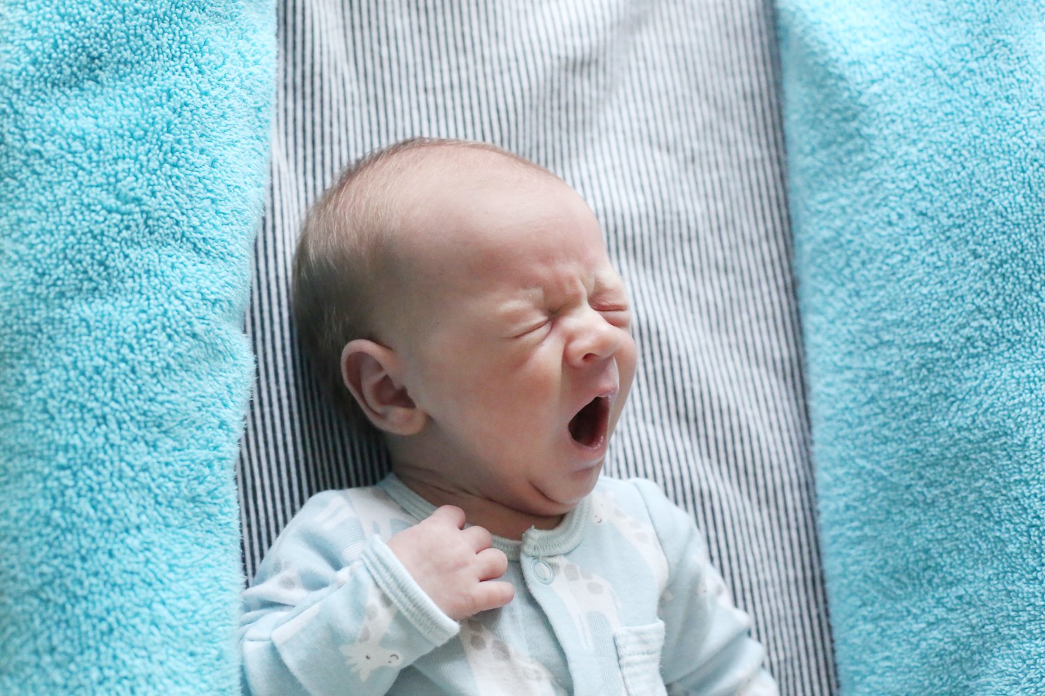JA Surrogacy Consulting - First Surrogate Baby-16.jpg