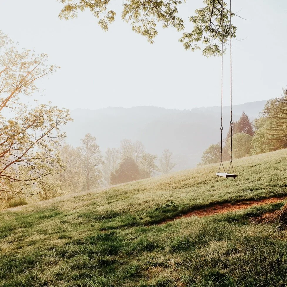 Facing Infant Loss as a Surrogate