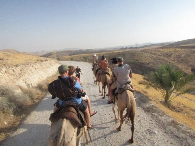 camel back.jpg