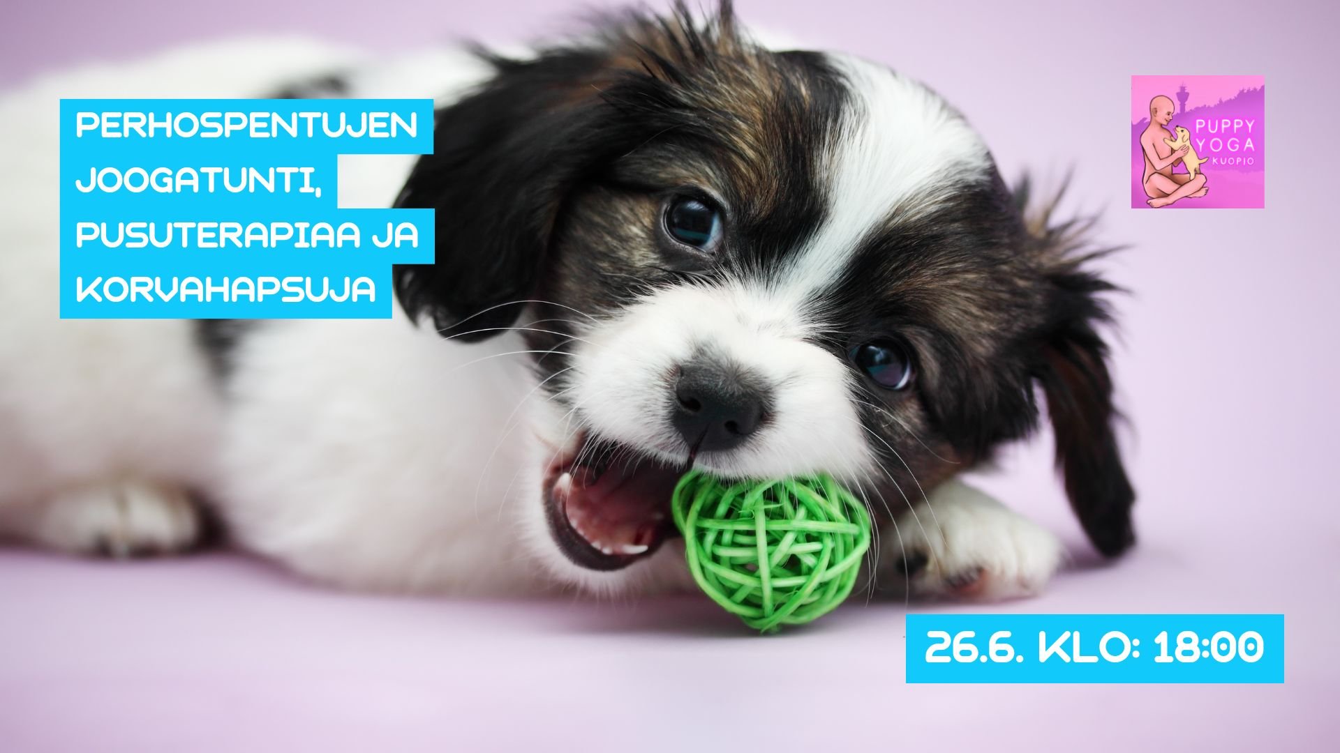 Puppy Yoga kesakuu.jpg