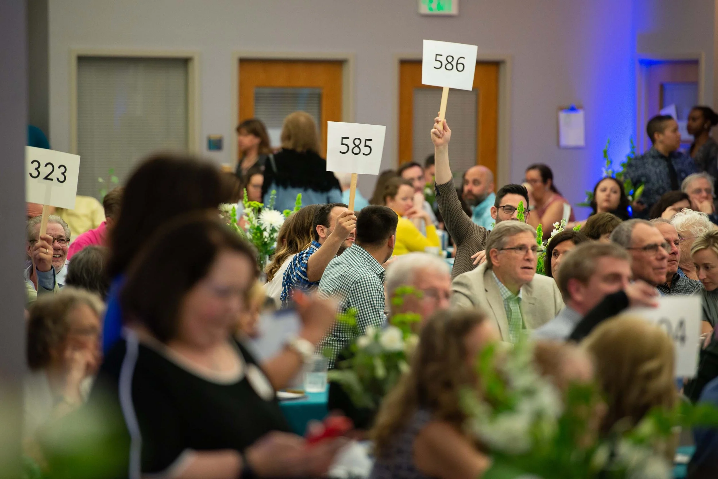 20190413-3489 copy.jpg