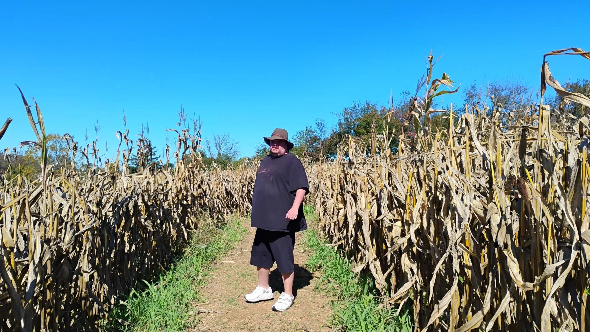 shared image (14).jpg