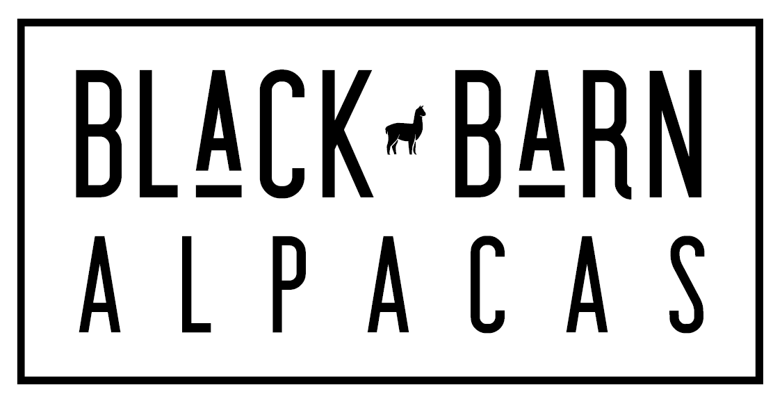 black barn alpacas logo