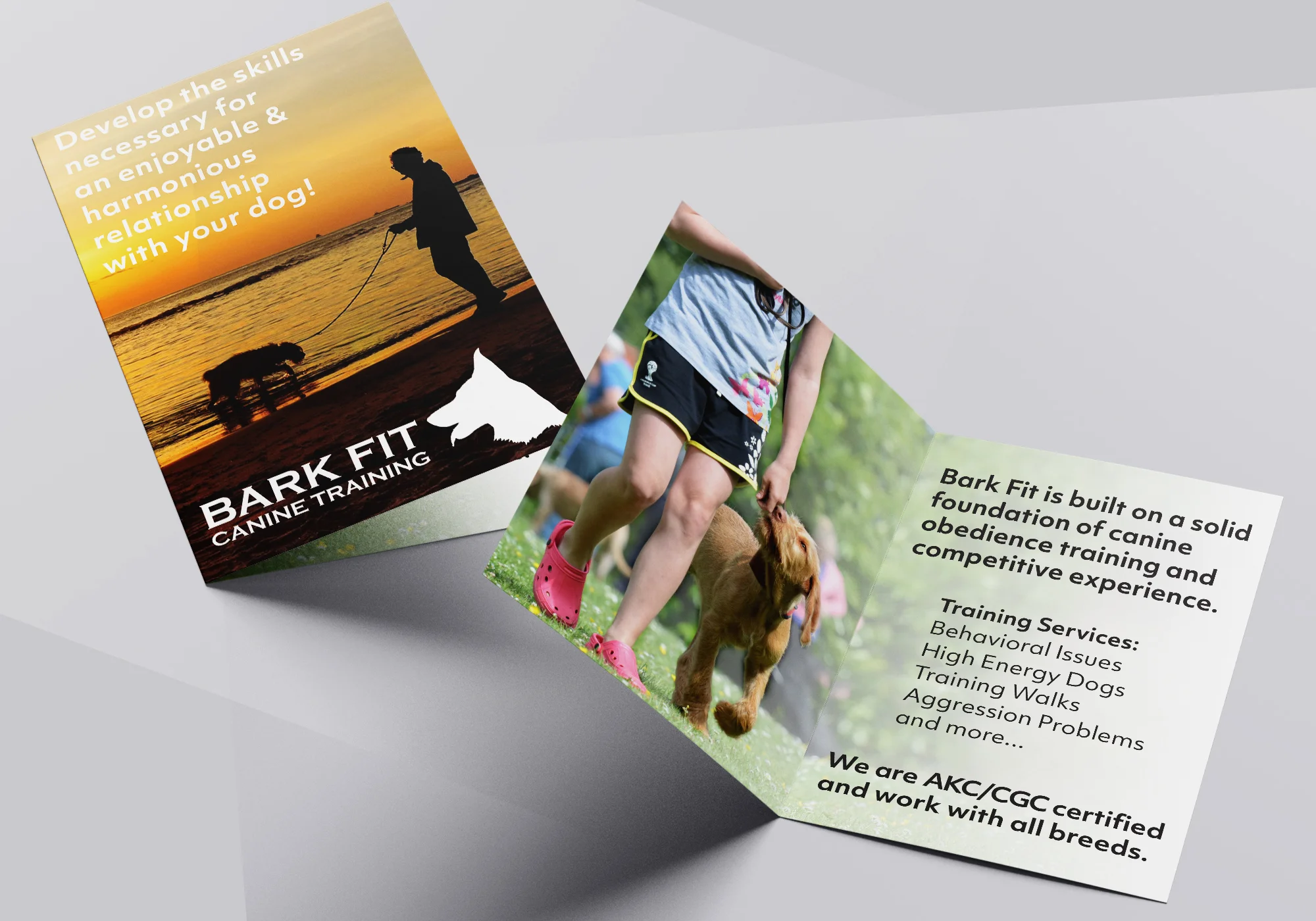 Bi-Fold Brochure