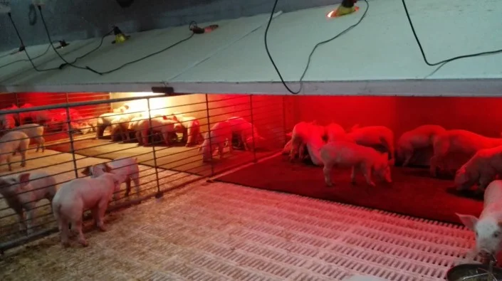 Nursery mat heat.jpg