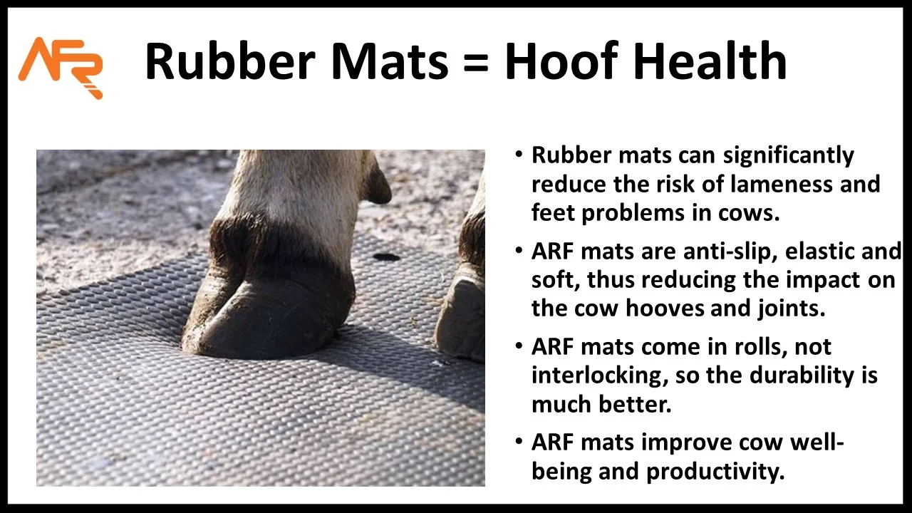 Hoof Health post.jpg