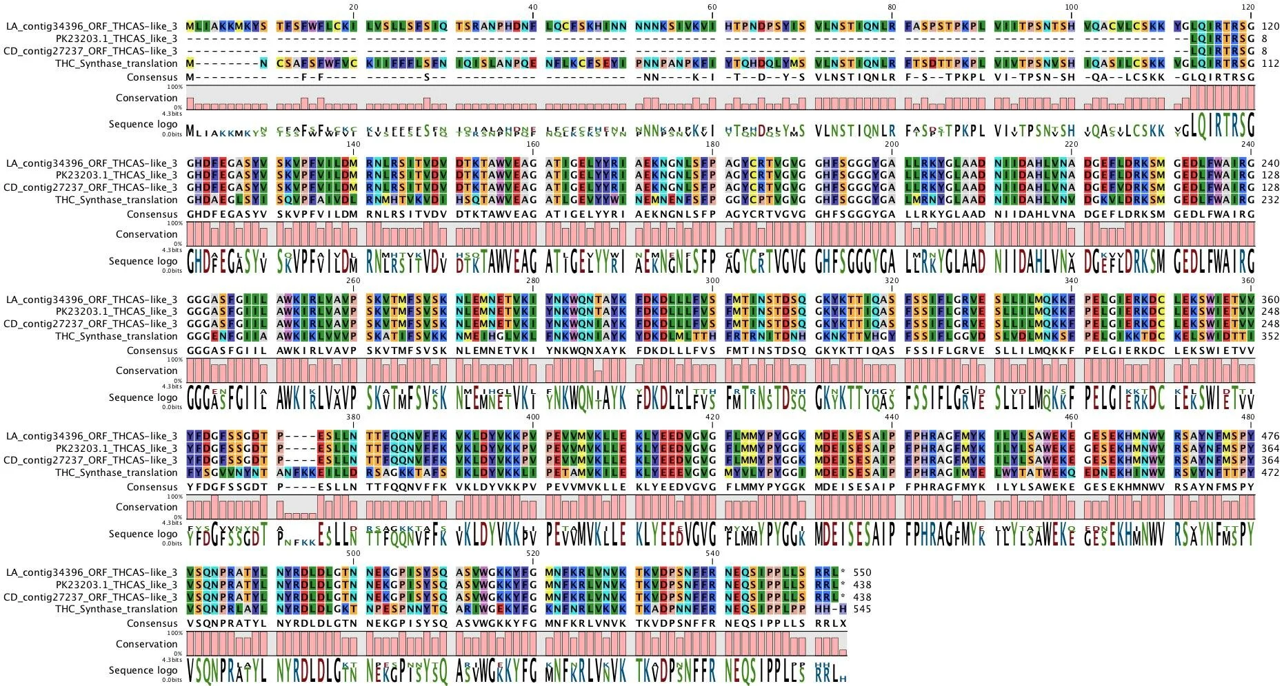Figure_4_LA_contig34396_ORF_THCAS-like_3_alignment.jpg