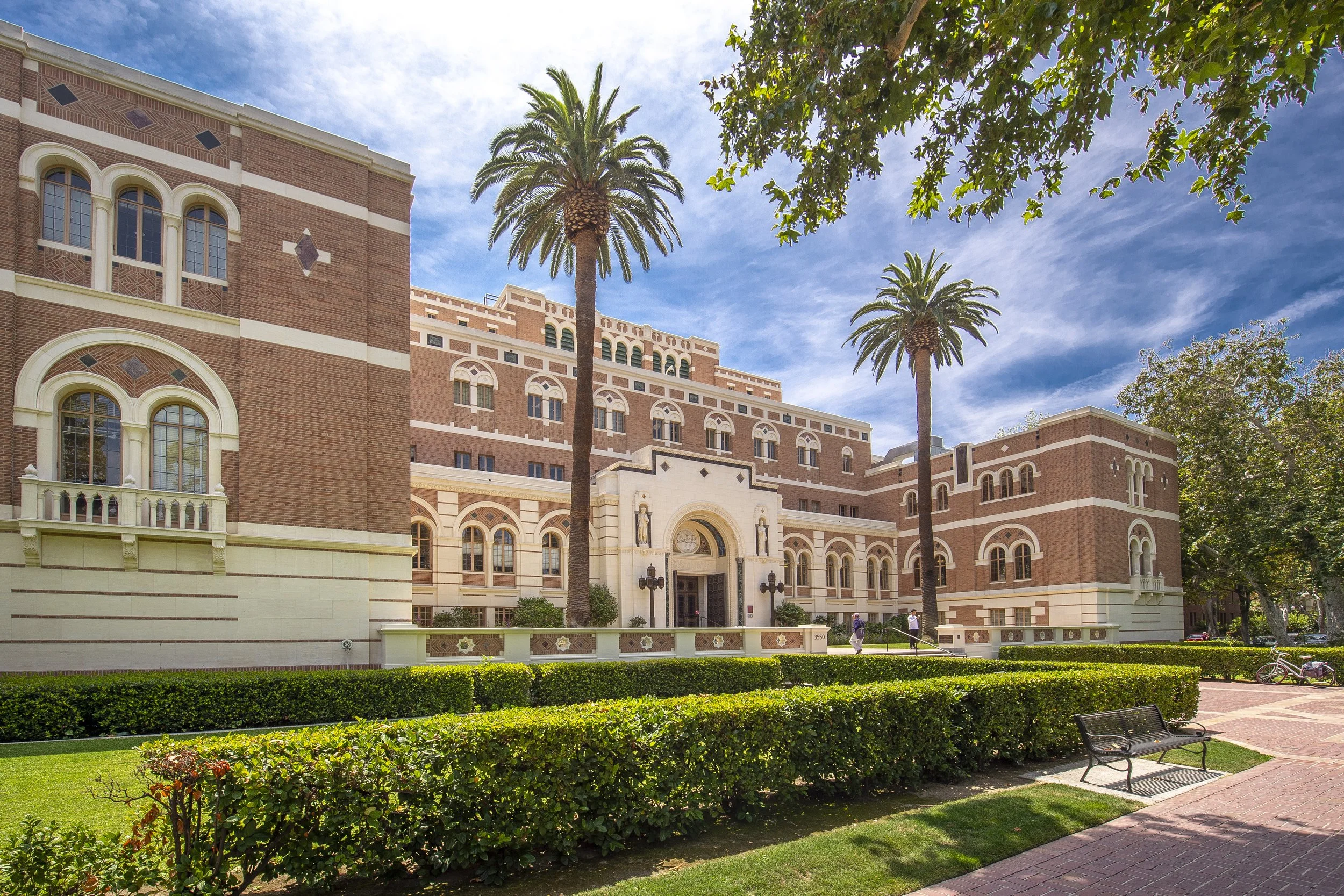 doheny and palms.jpg