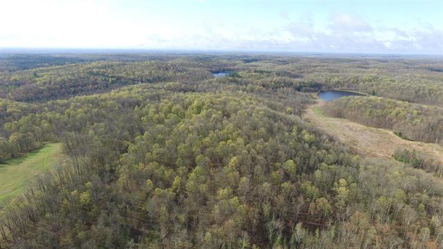 Recreational Land for sale Central Wisconsin Land W10937 Red Wine Rd Medford, WI 54451