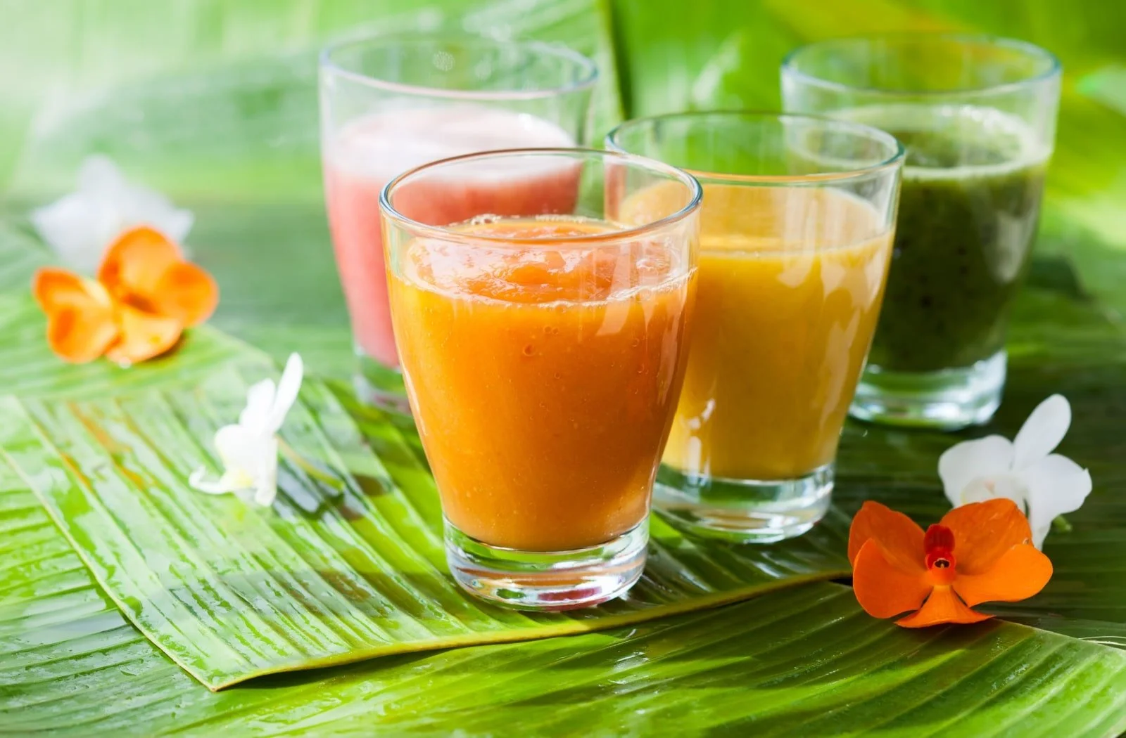 What Should I Eat After a Tooth Extraction? Winnipeg — Shine Dental