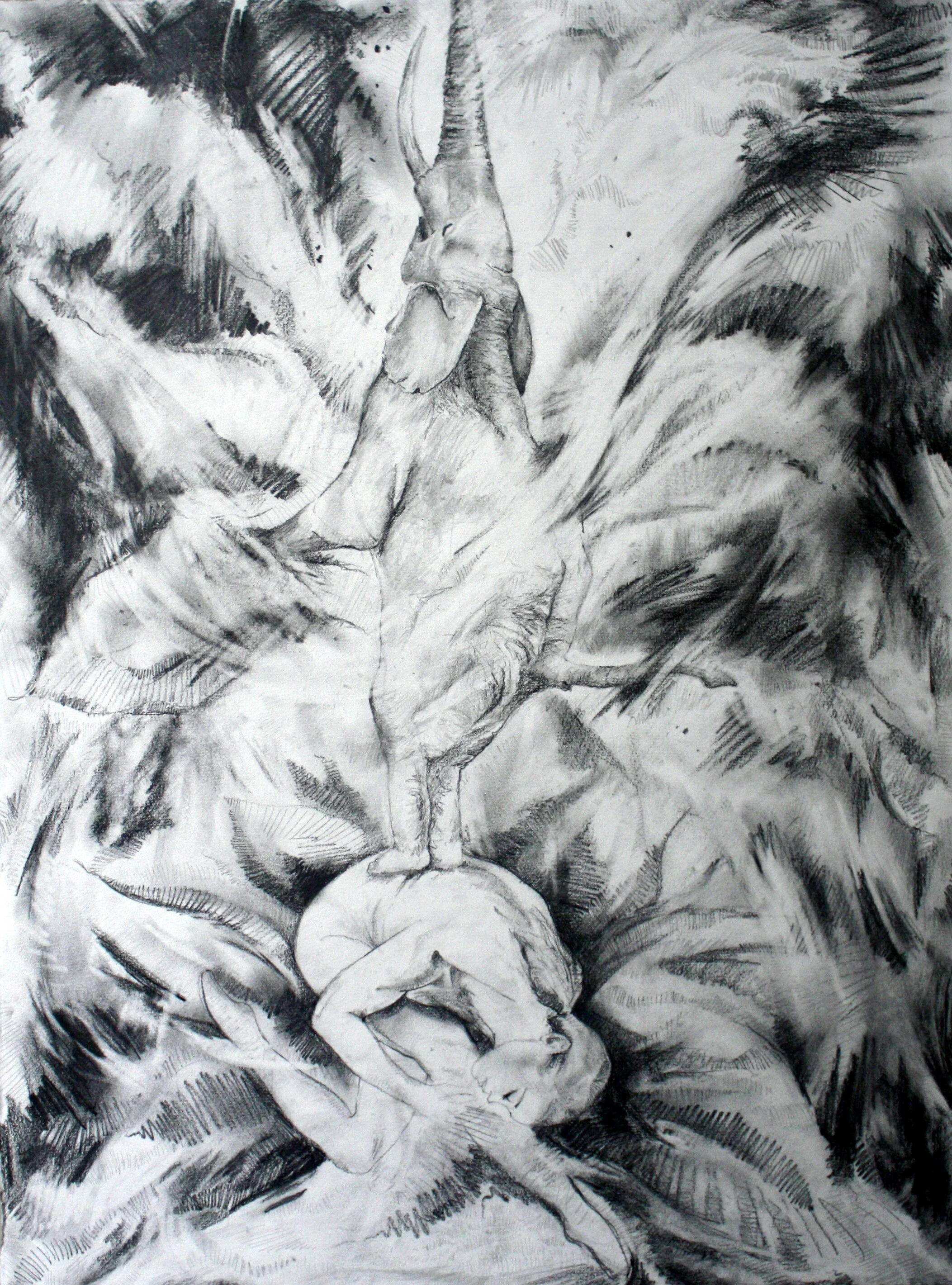 Katerina Pravda Art Original Graphite Drawing Endangered Sumatran Elephant.JPG