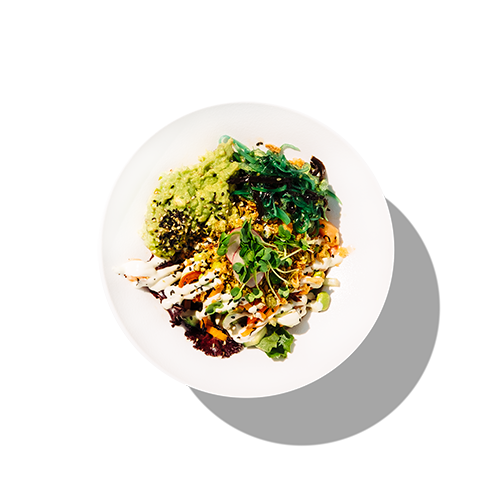 bowl_freisteller_1_low.png