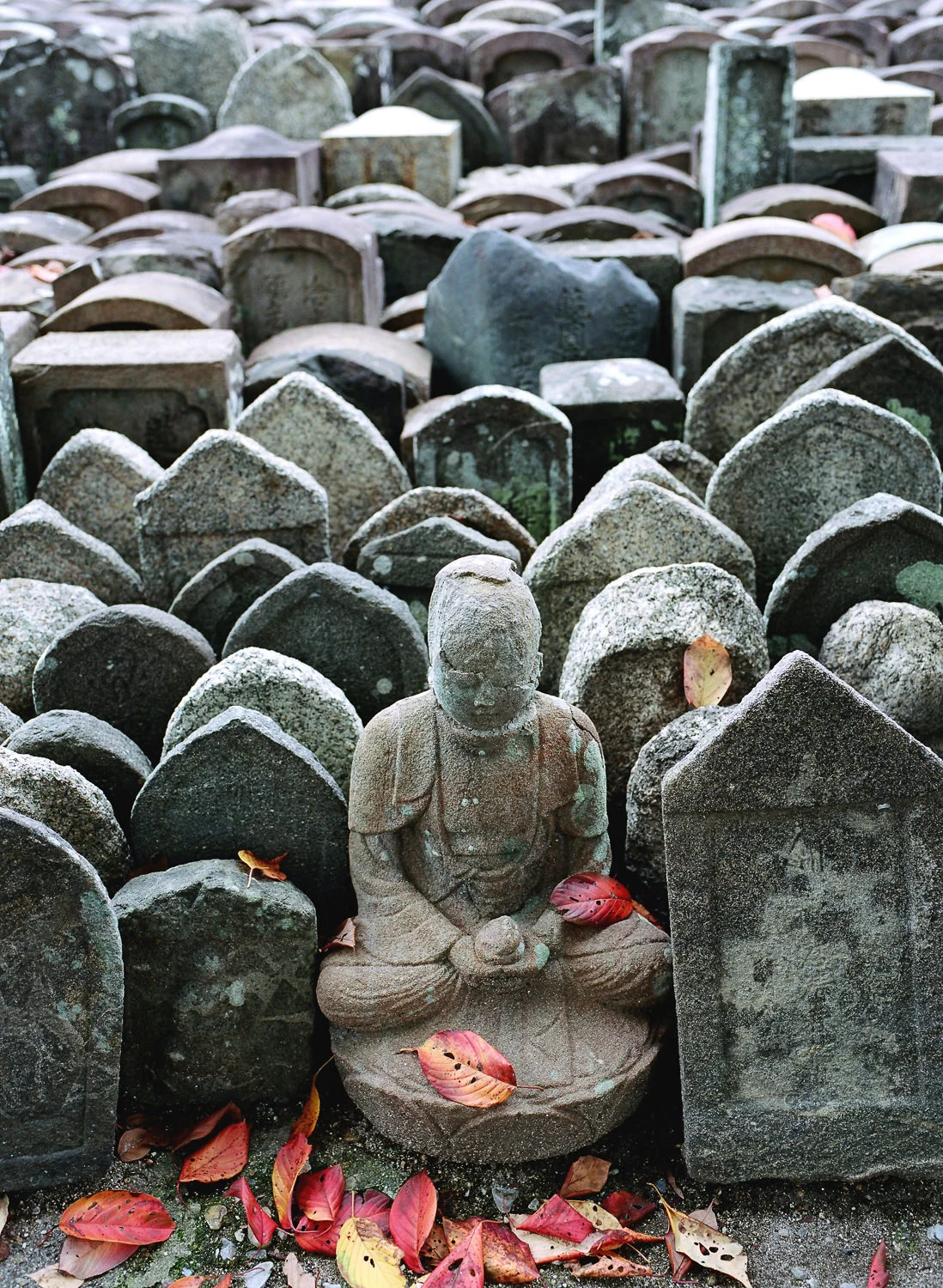 100-Views-Kyoto-92.jpg