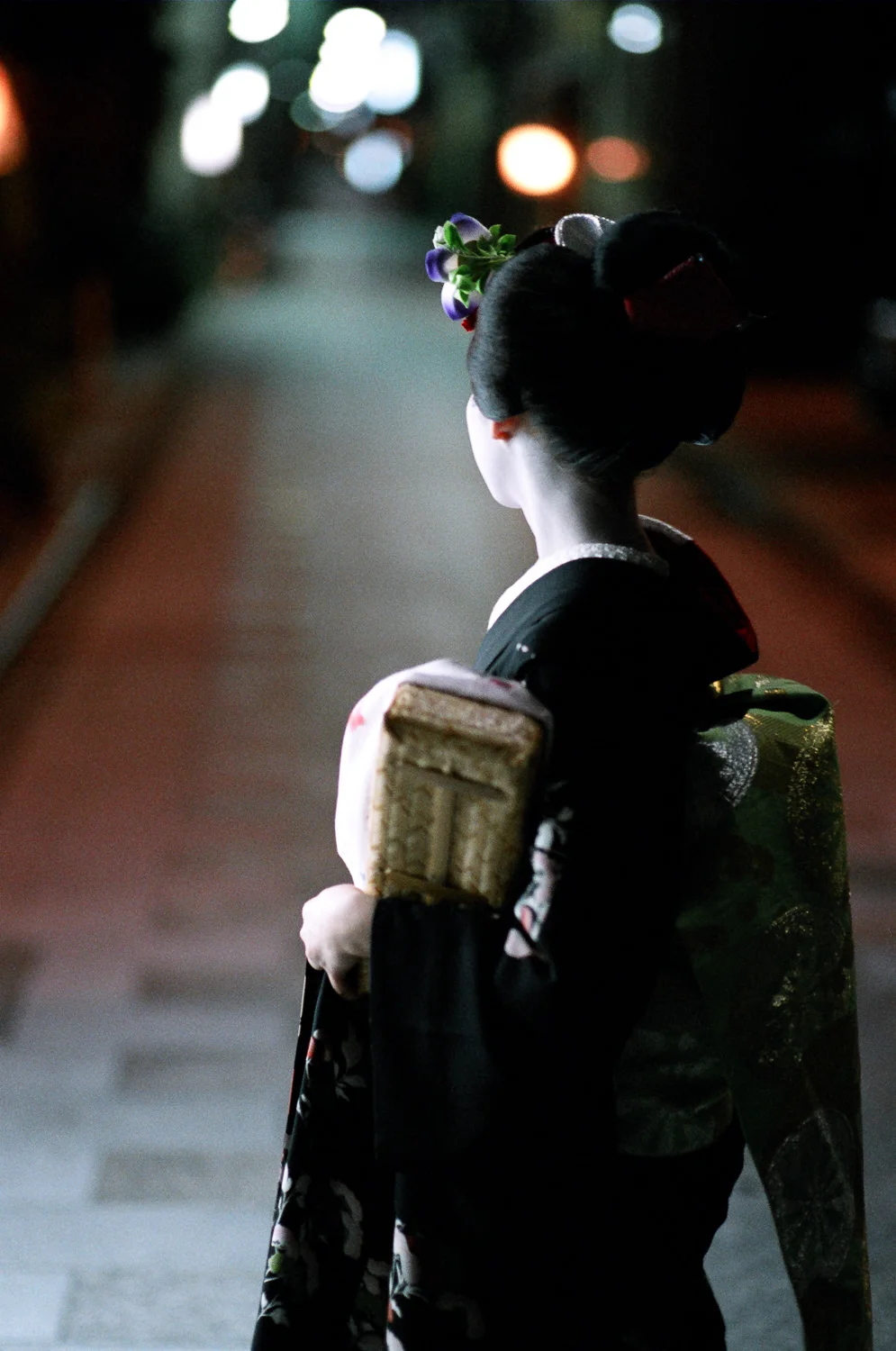 100-Views-Maiko-Geiko-9.jpg