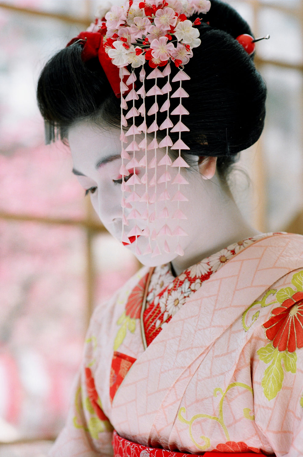 100-Views-Maiko-Geiko-45.jpg