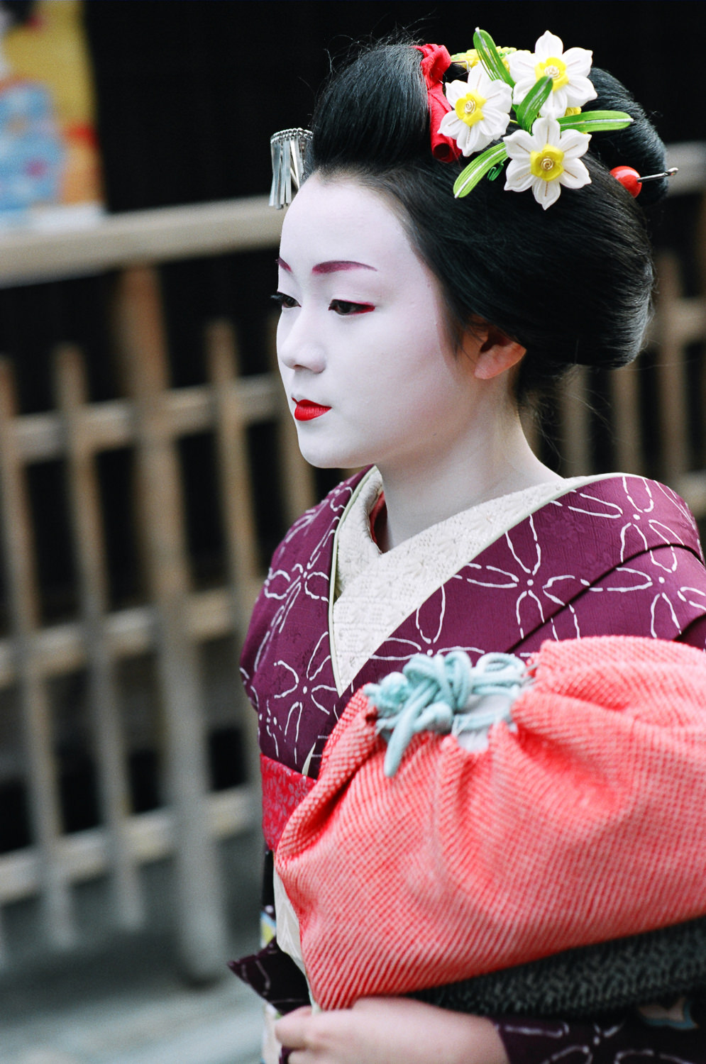 100-Views-Maiko-Geiko-62.jpg