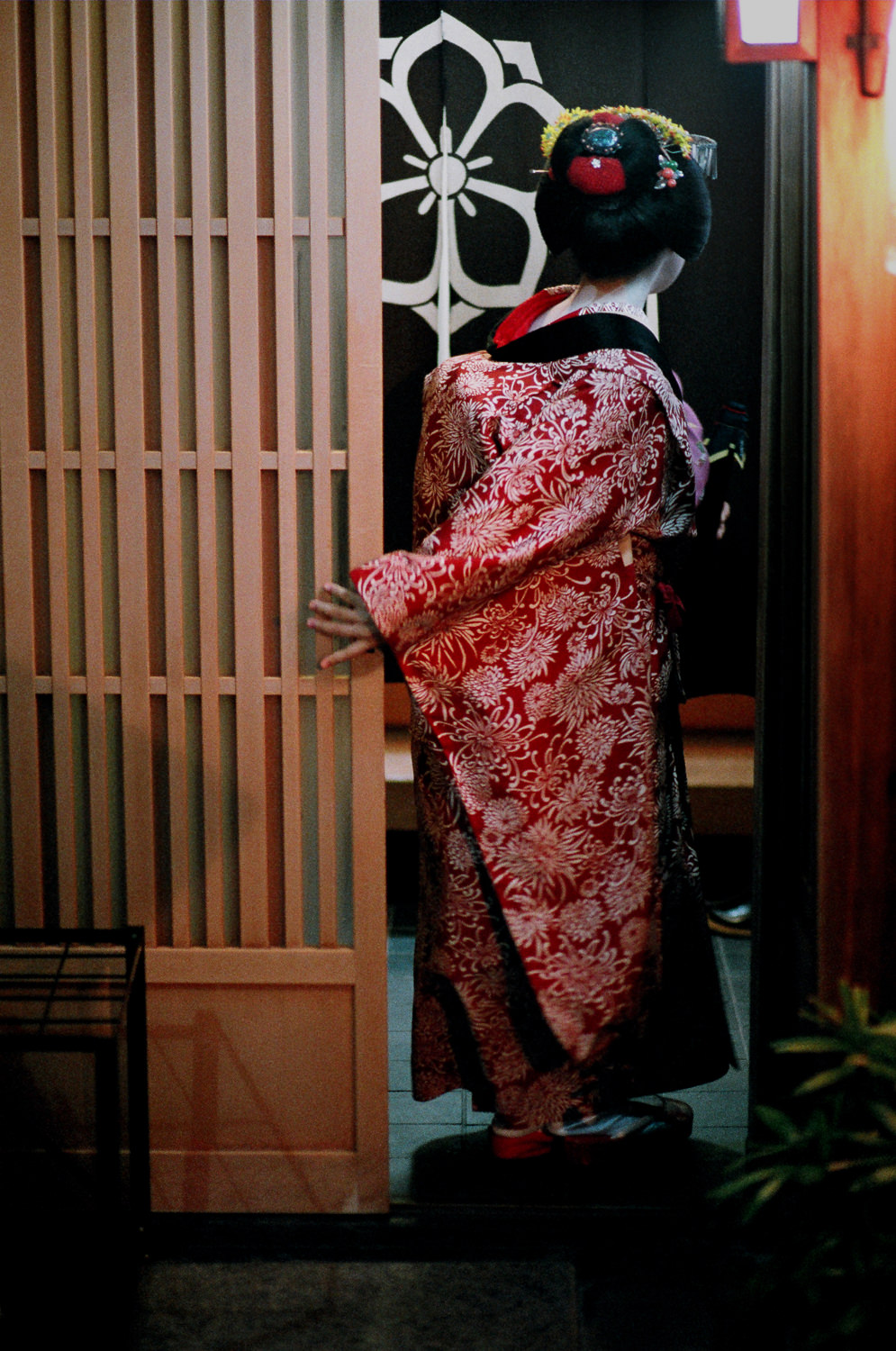 100-Views-Maiko-Geiko-66.jpg