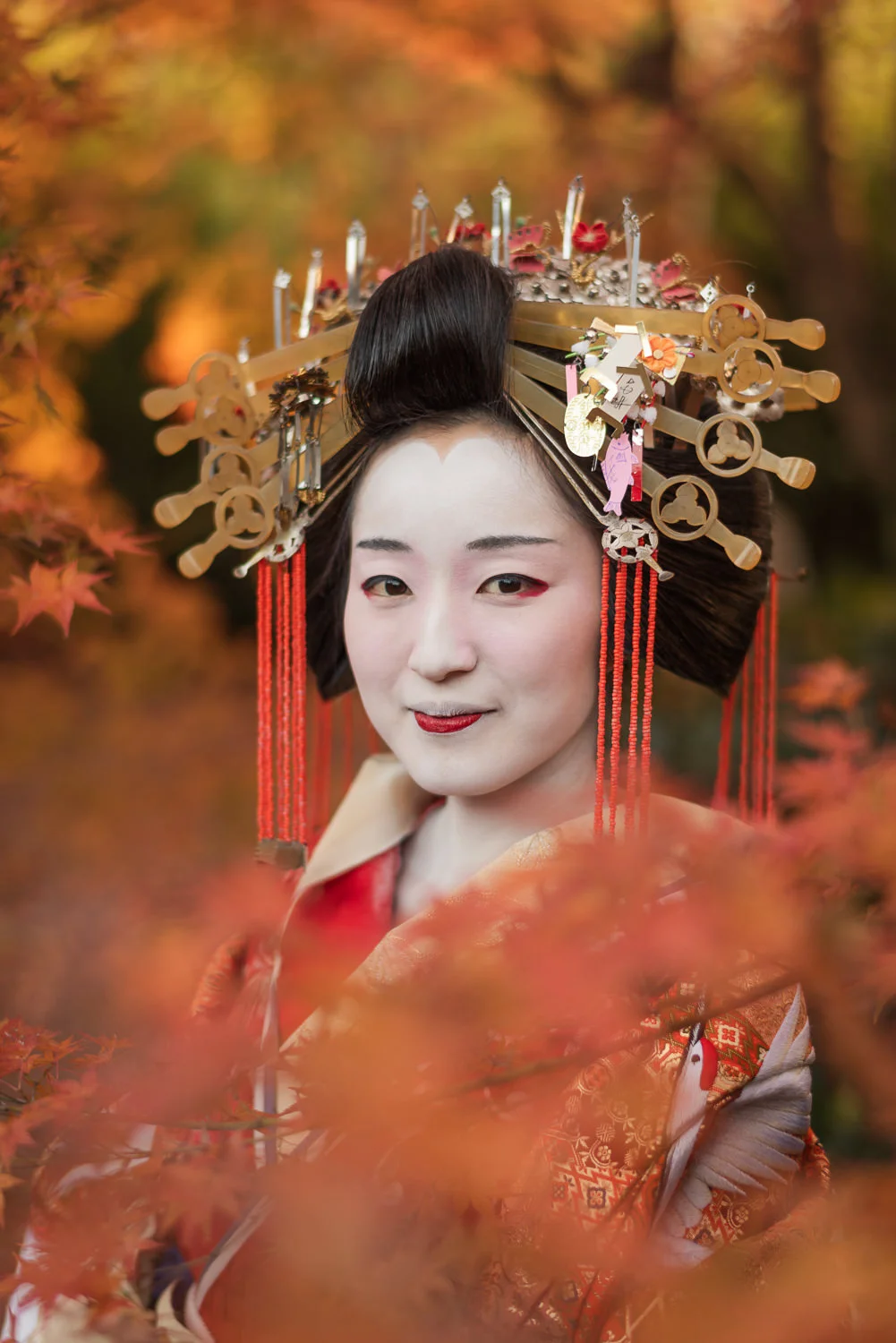Kikugawa Tayu Amidst Maple Leaves