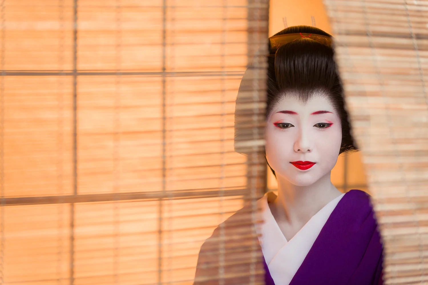 Geisha Mamehana in Purple 2