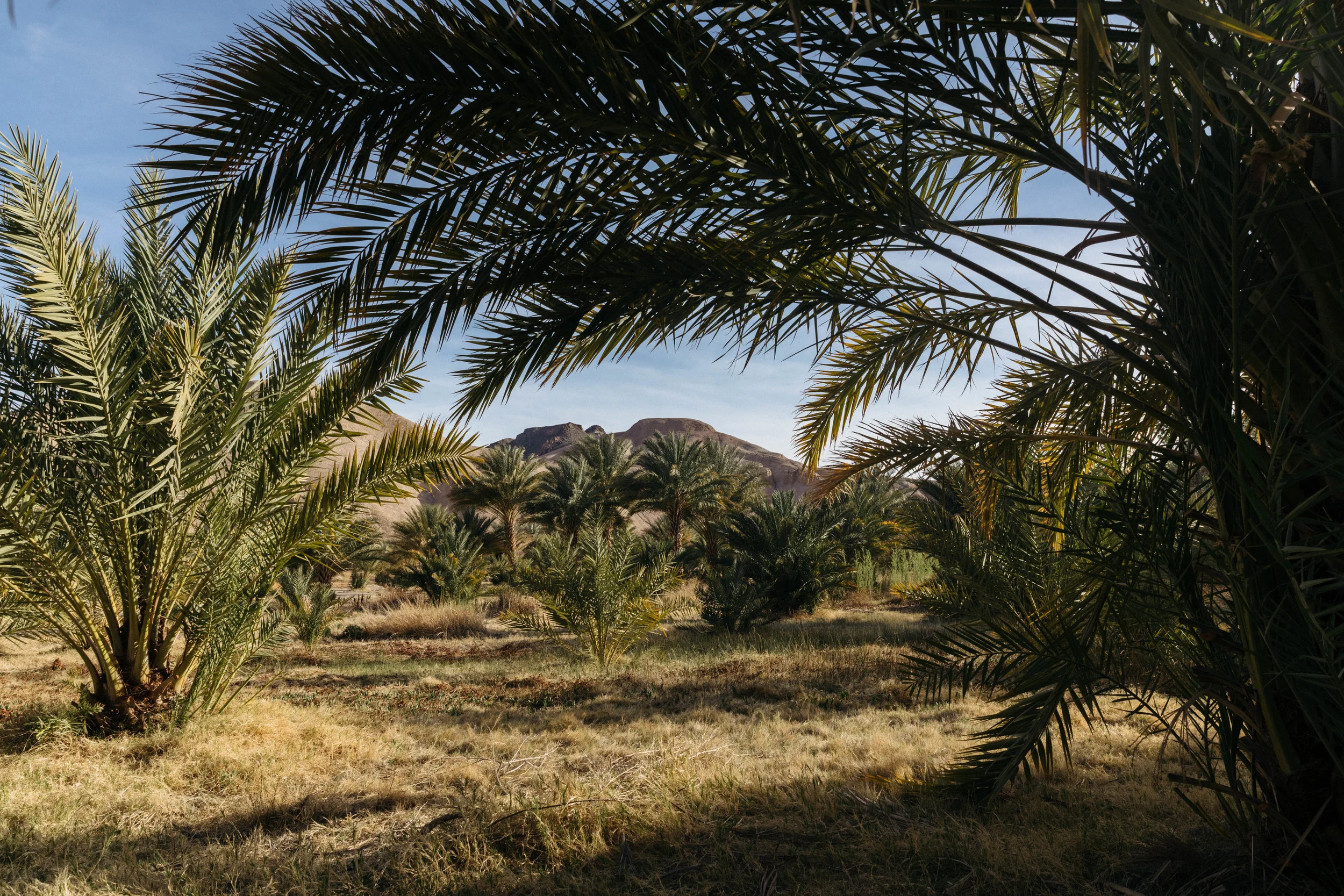 Artists' Top Five: Audrey Barcio