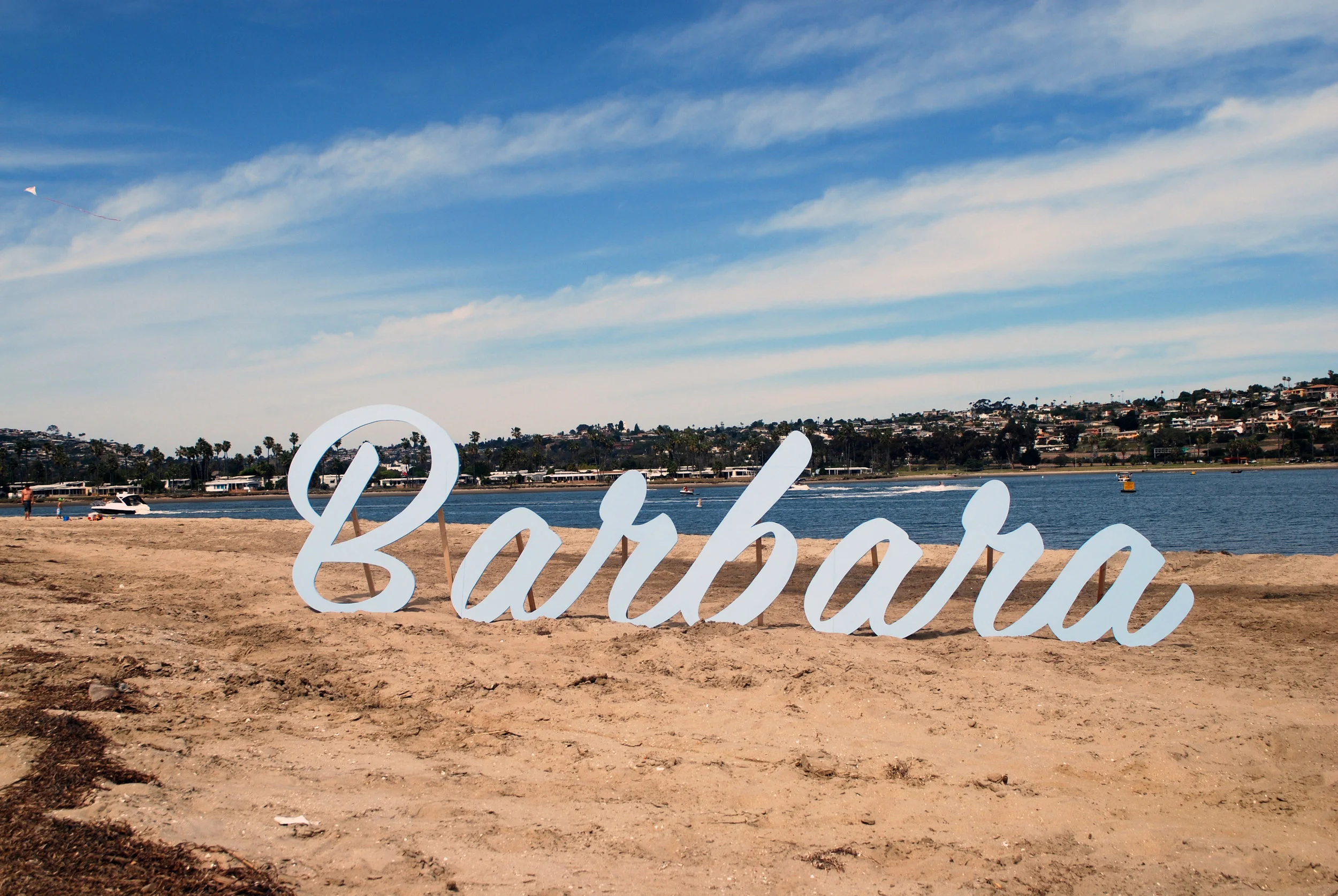 Drive-thru Time Machine: A Conversation with Allison Wiese