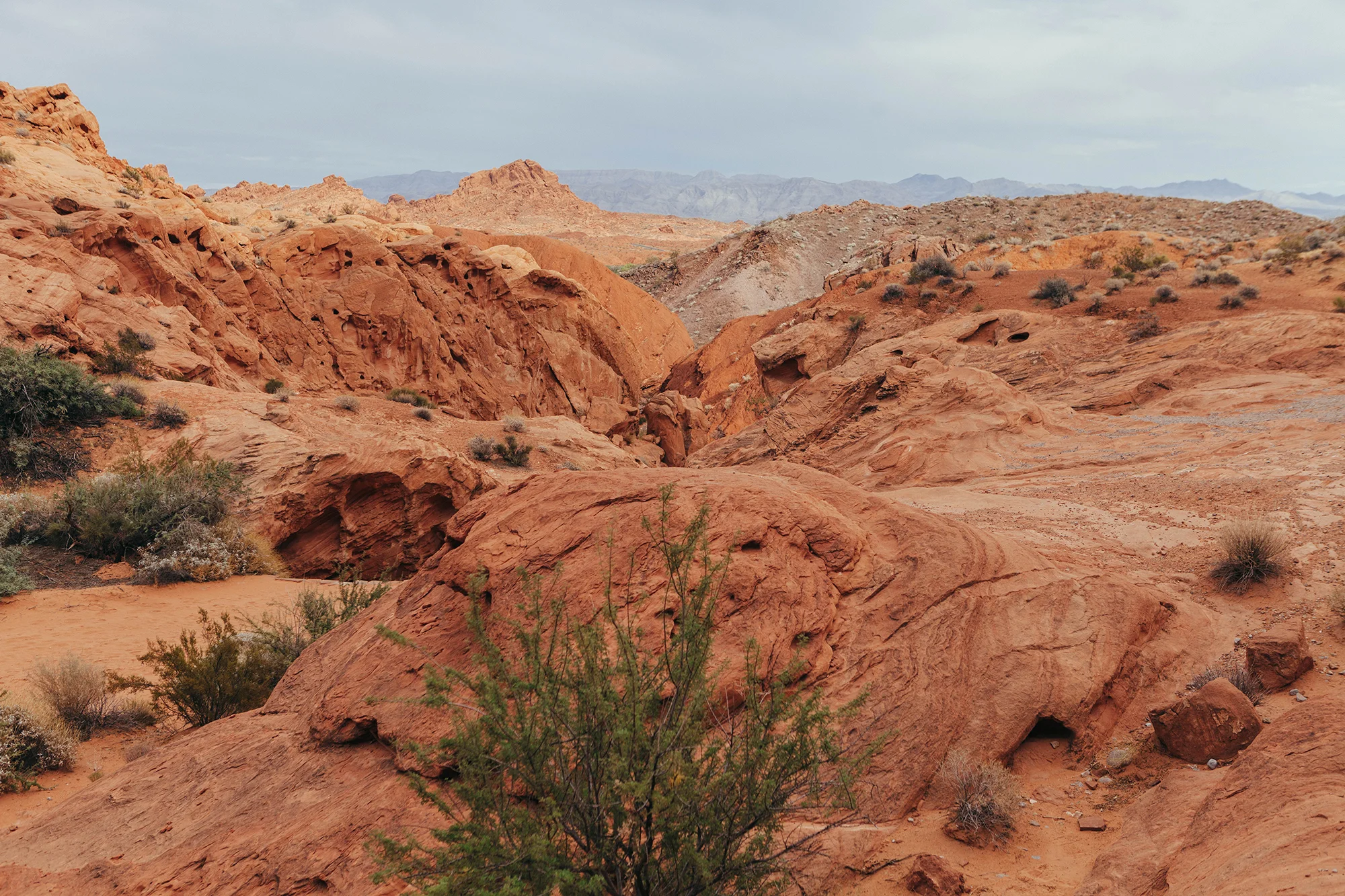 Artists' Top Five: Michael Ogilvie