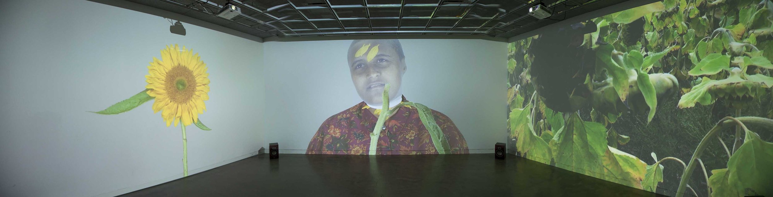 Yasmina Chavez, Fountainhead Loop, 3 channel video, installation image. The artist's MFA thesis project Sensing Time, opens at the Robert C. Turner Gallery in Alfred, New York this month. 