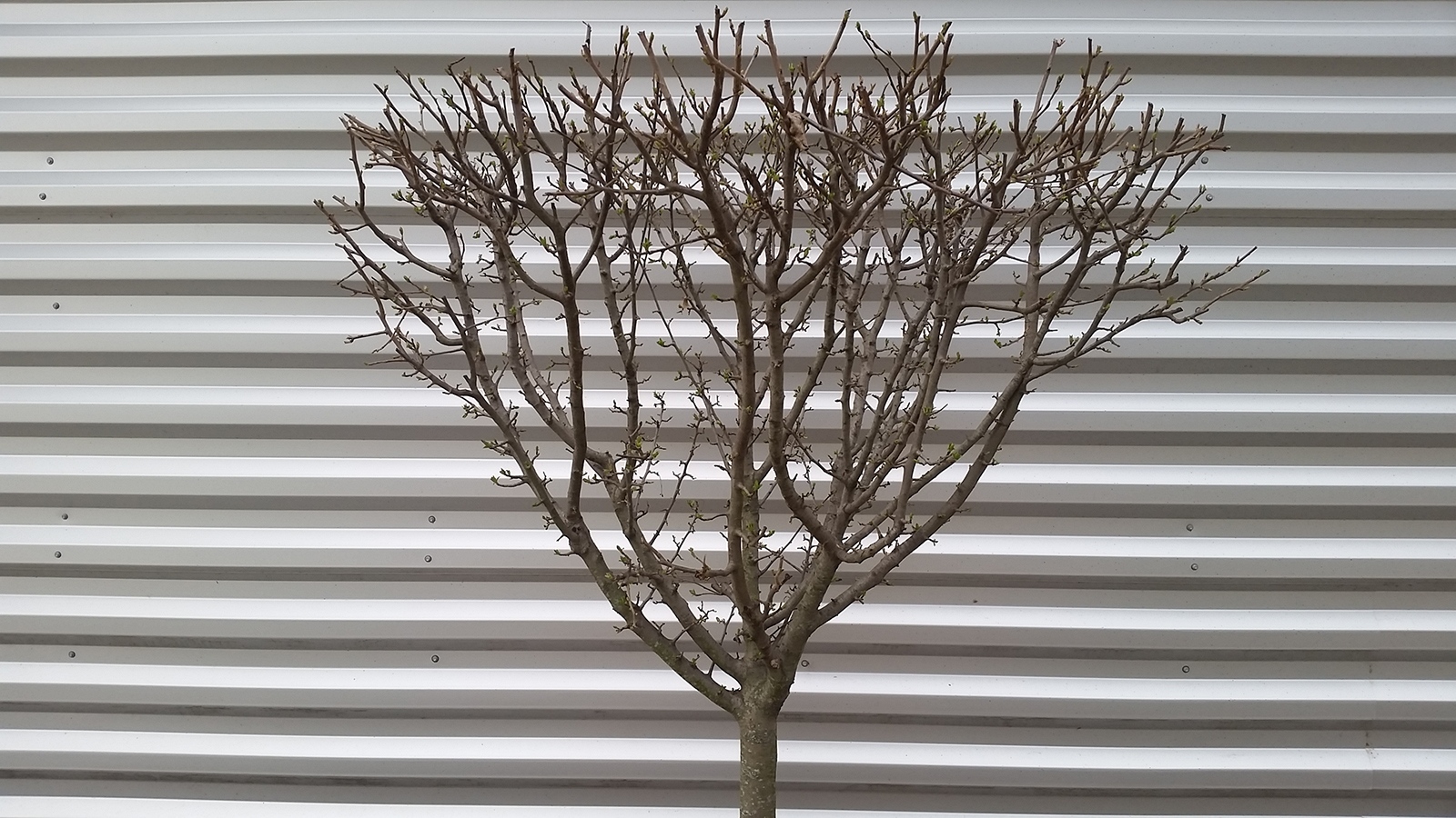 20170402_082042.jpg