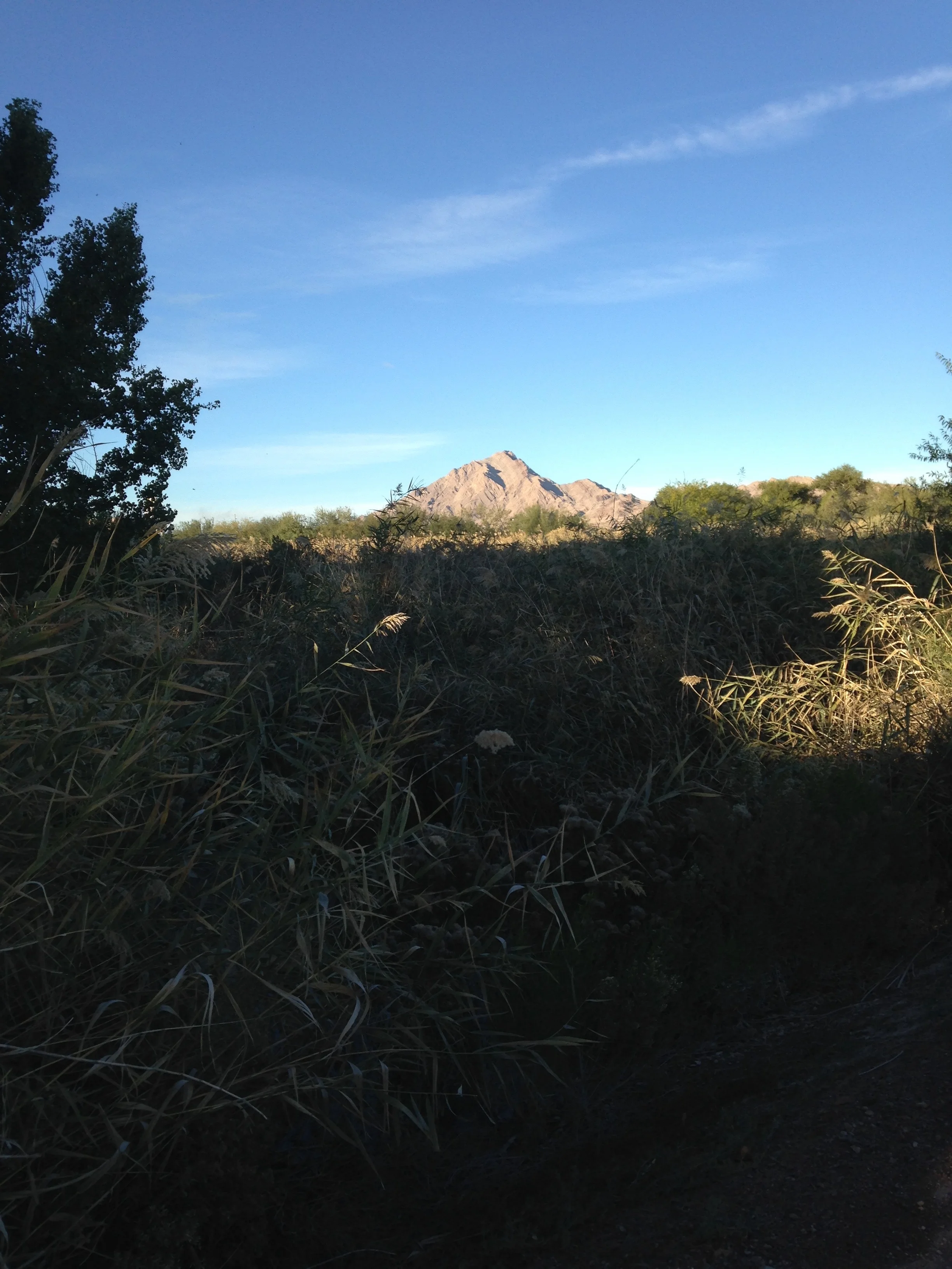 Wetlands Park with a view of Sunrise Mountain