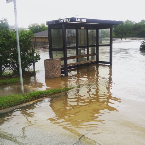 No bus today, Brays Bayou at Ardmore St and N MacGregor Way, Houston, August 27, 2017. Photo: Laura Napier