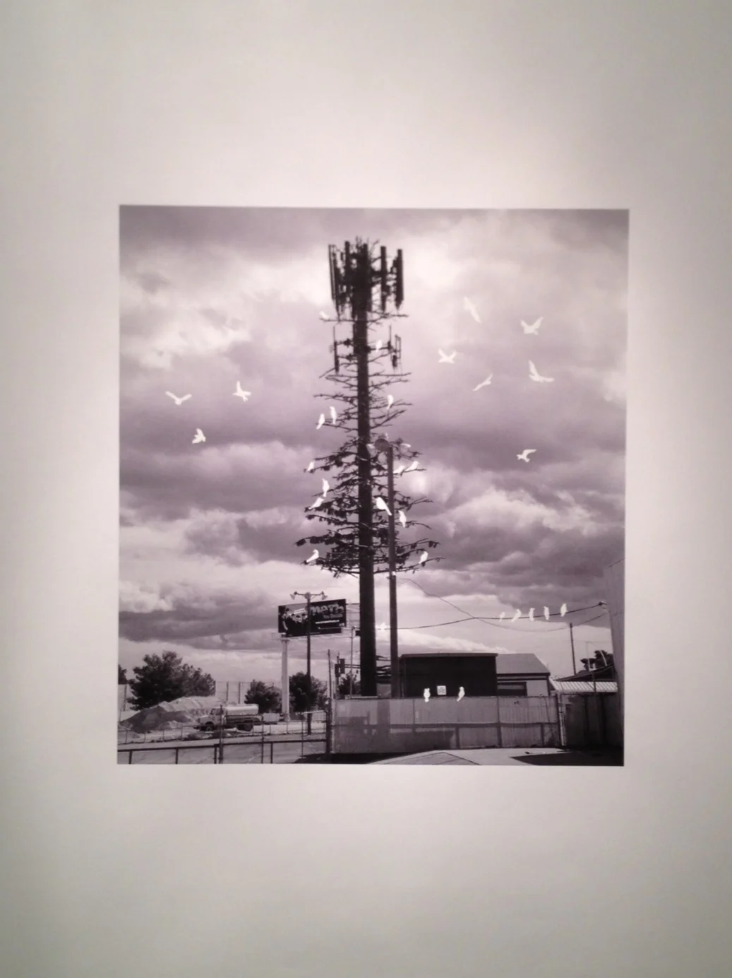 Kleven | Urban Naturalism | inkjet print with correction fluid