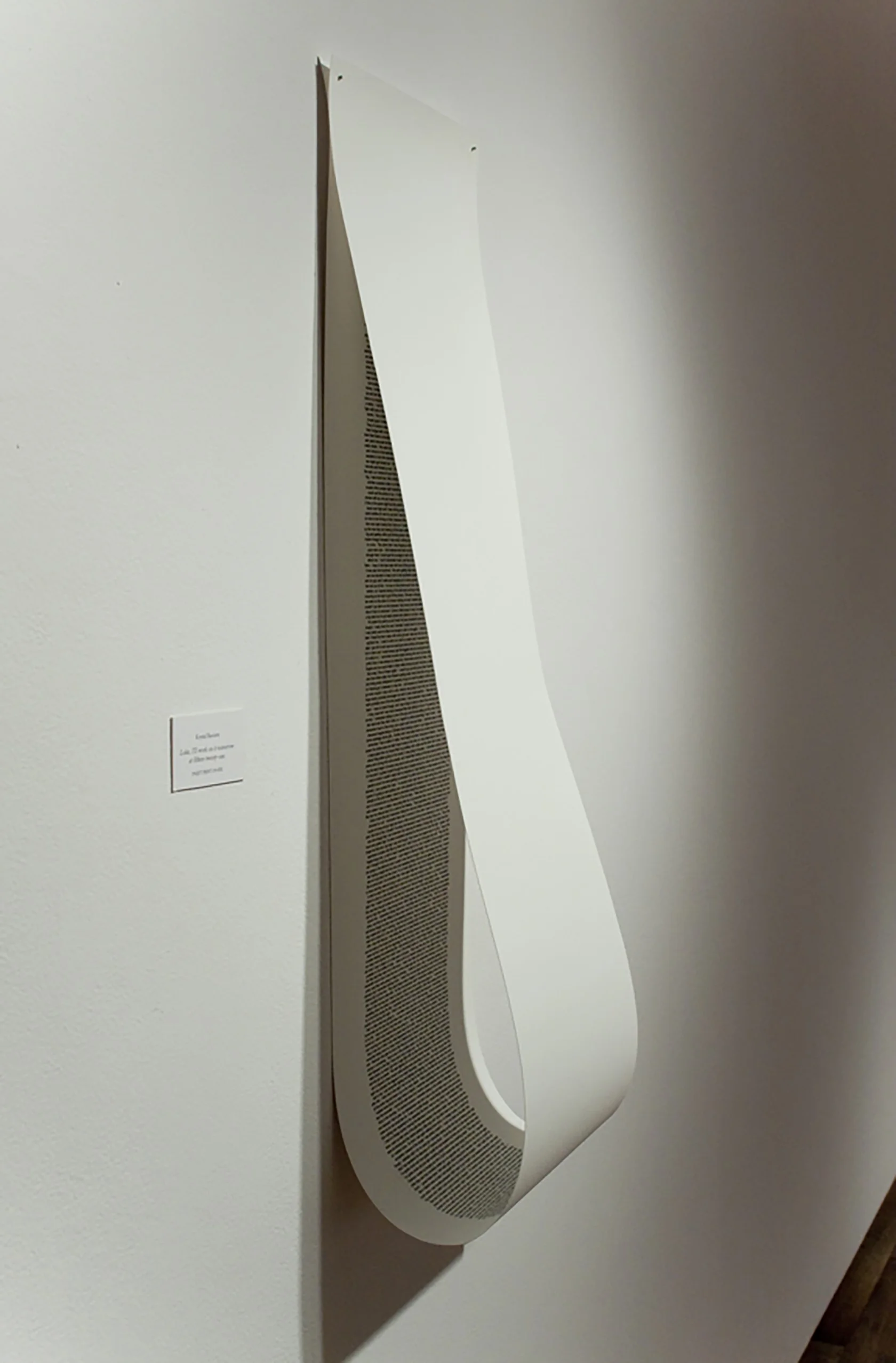 drawing, installation Krystal Ramirez | emptiness | ink on linen paper