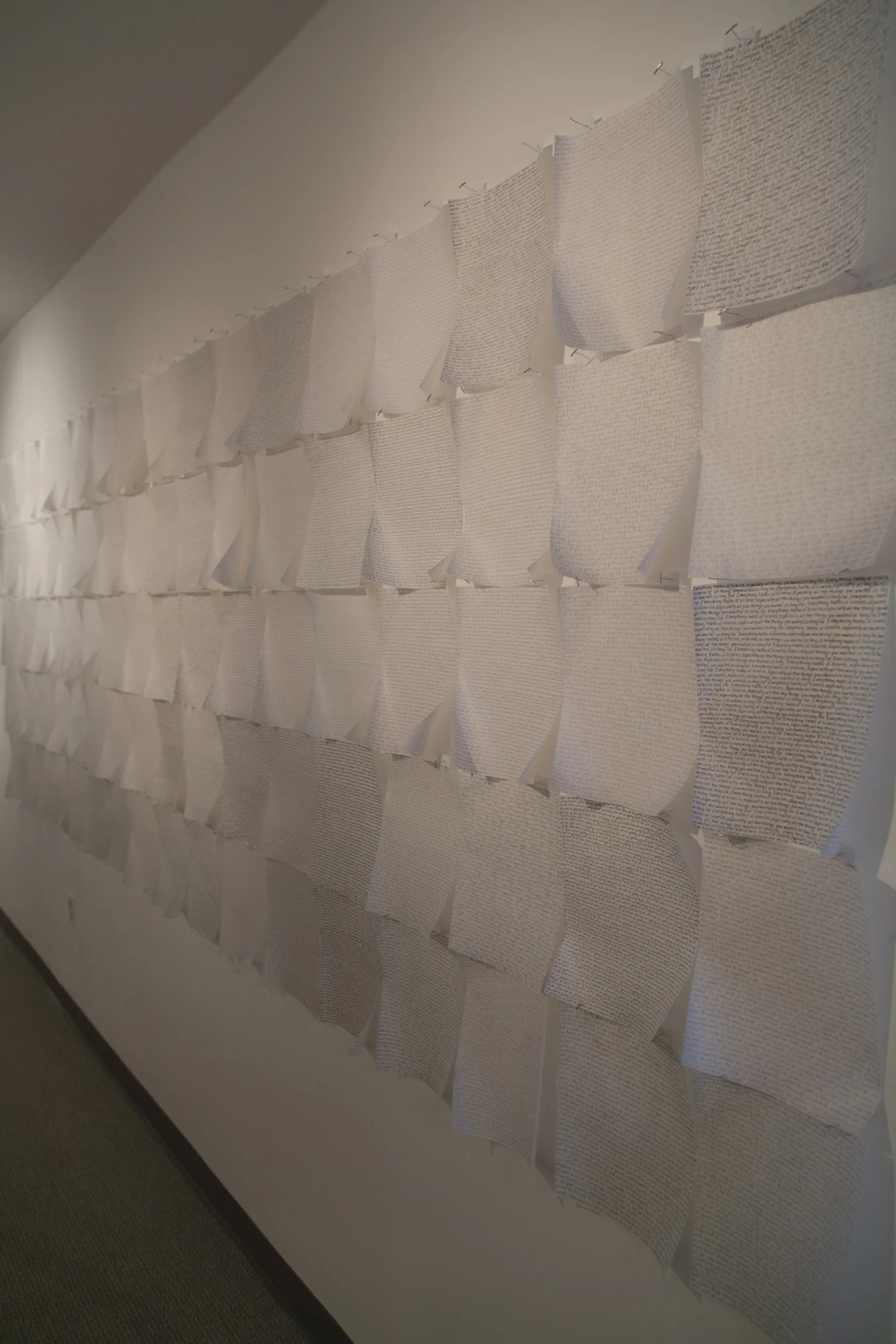 Ramirez | I'm sorry we lied, installation view | ink on linen paper