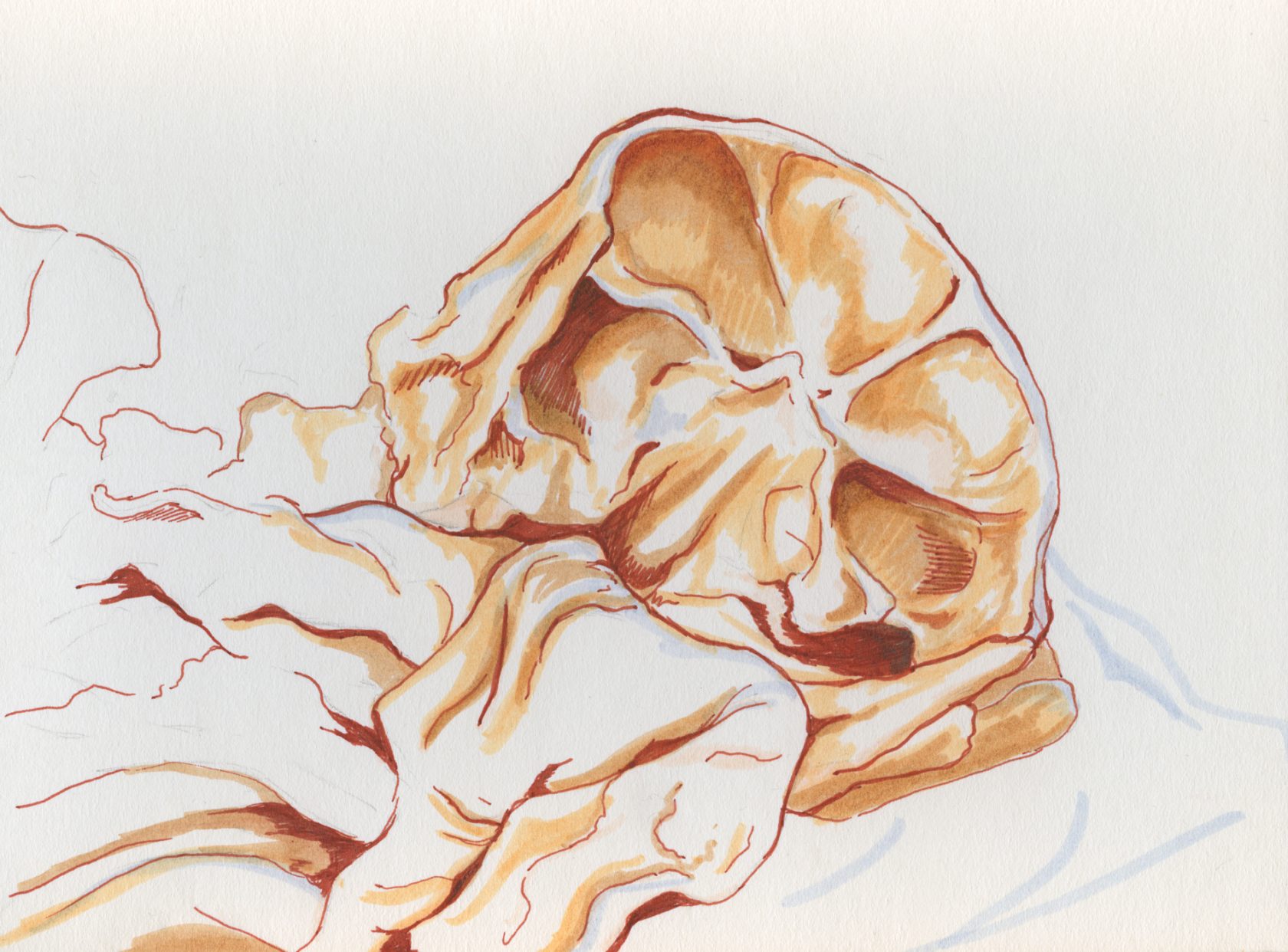 Chambers | Cadaver Sketch #2 | Faber-Castell pen on paper
