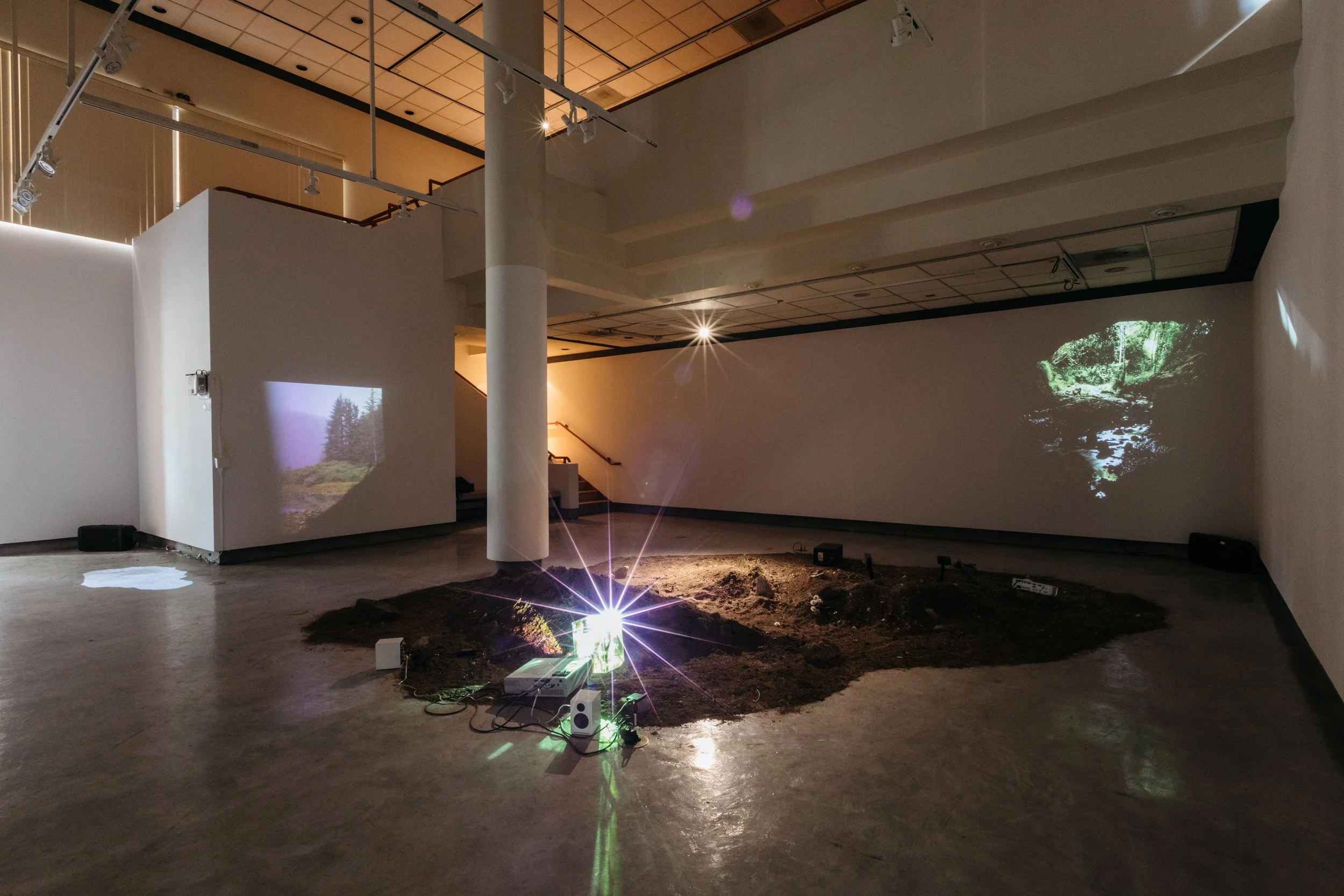 Nanda Sharif-pour, Implanted Nature at the Donna Beam Fine Art Gallery. Photo Mikayla Whitmore.
