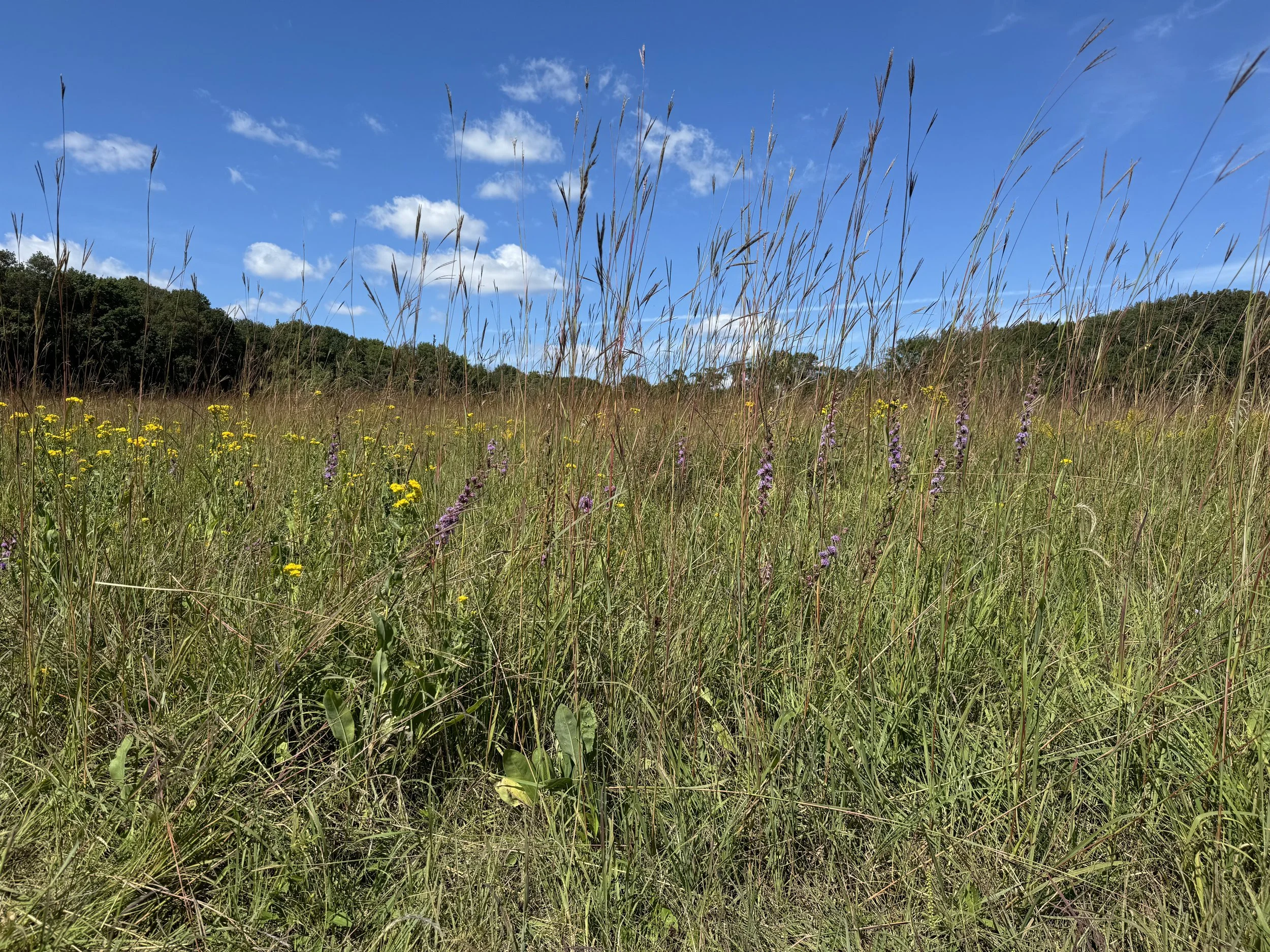 Community Meditation Gathering/ September