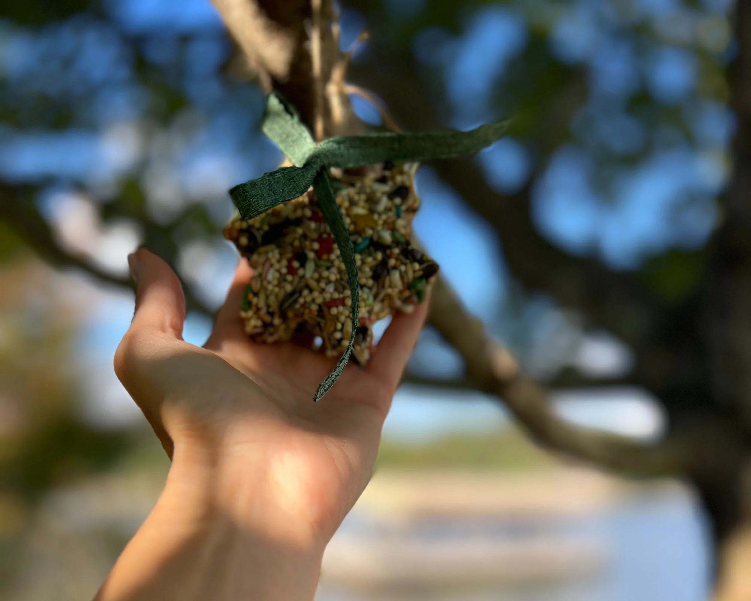 How To Make Birdseed Ornaments — The Happy Place