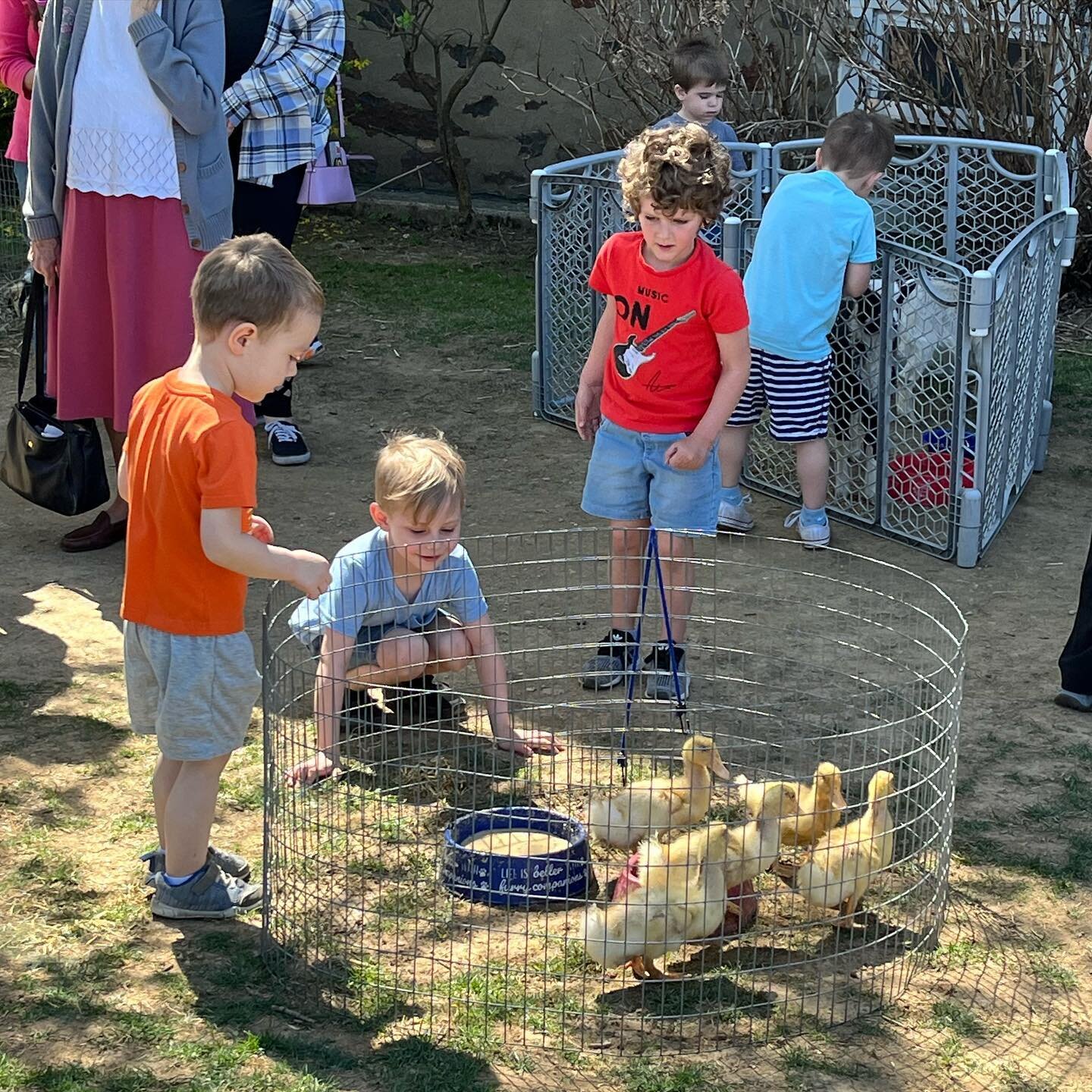 Beautiful weather for &ldquo;Animal Day&rdquo;! We got a chance to see and touch mammals, reptiles and birds in our own yard! #peaceablekingdompettingzoo #montessori #bethlehem #bethlehempa #igbethlehem