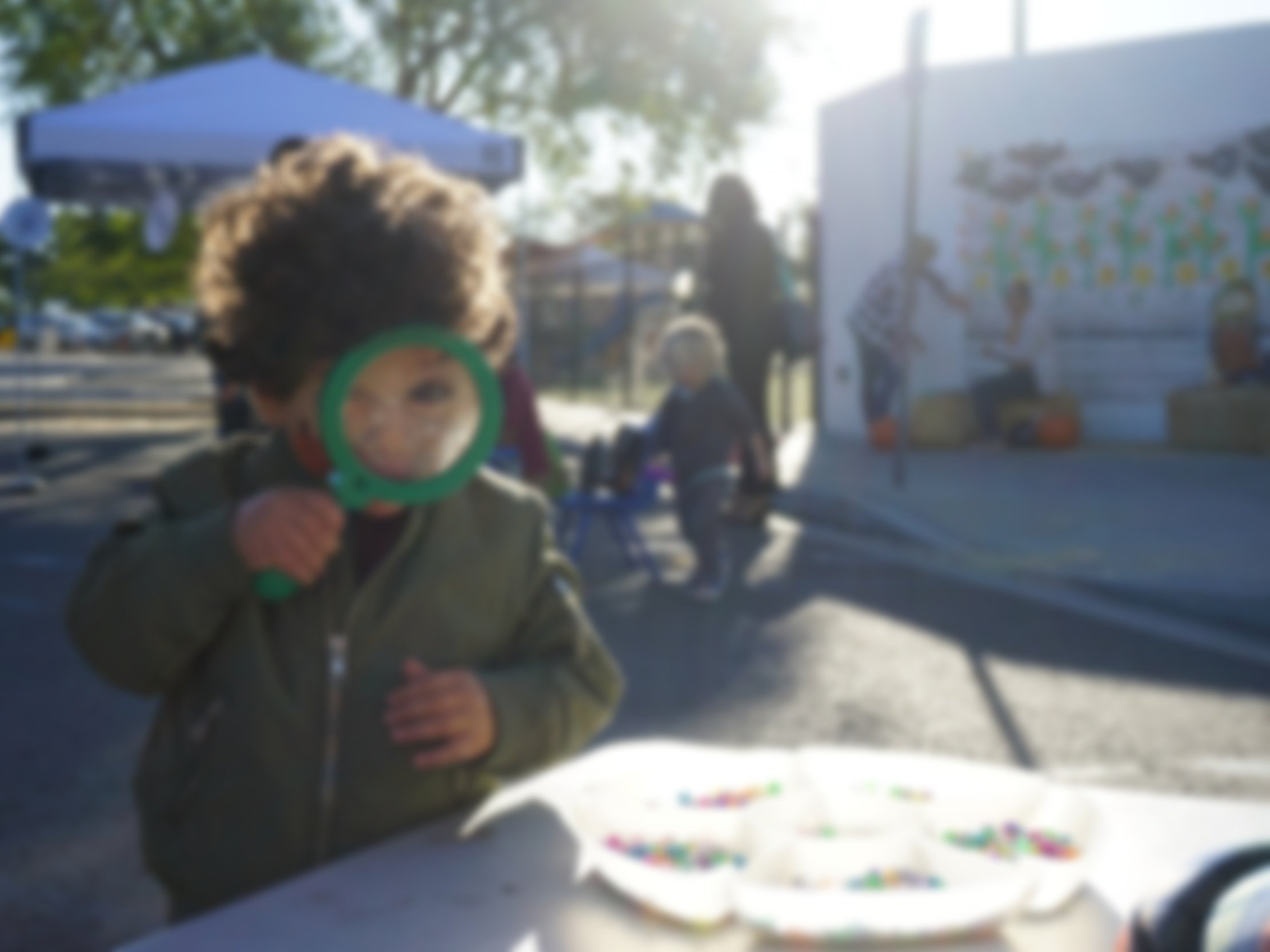 DSC07241+%281%29.jpg