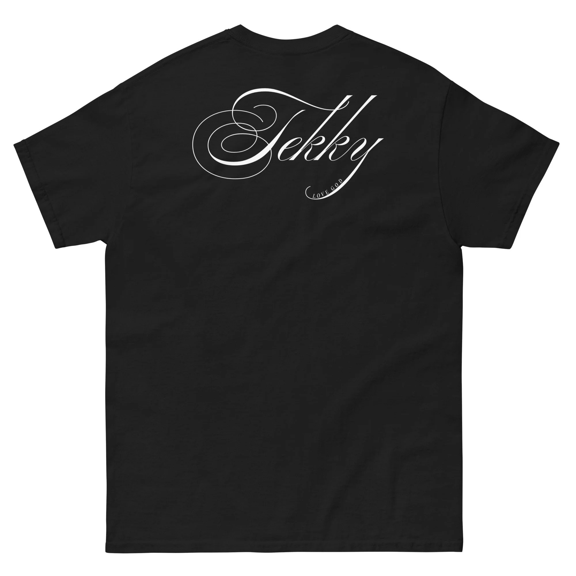 unisex-classic-tee-black-back-6932152e5f86a.jpg