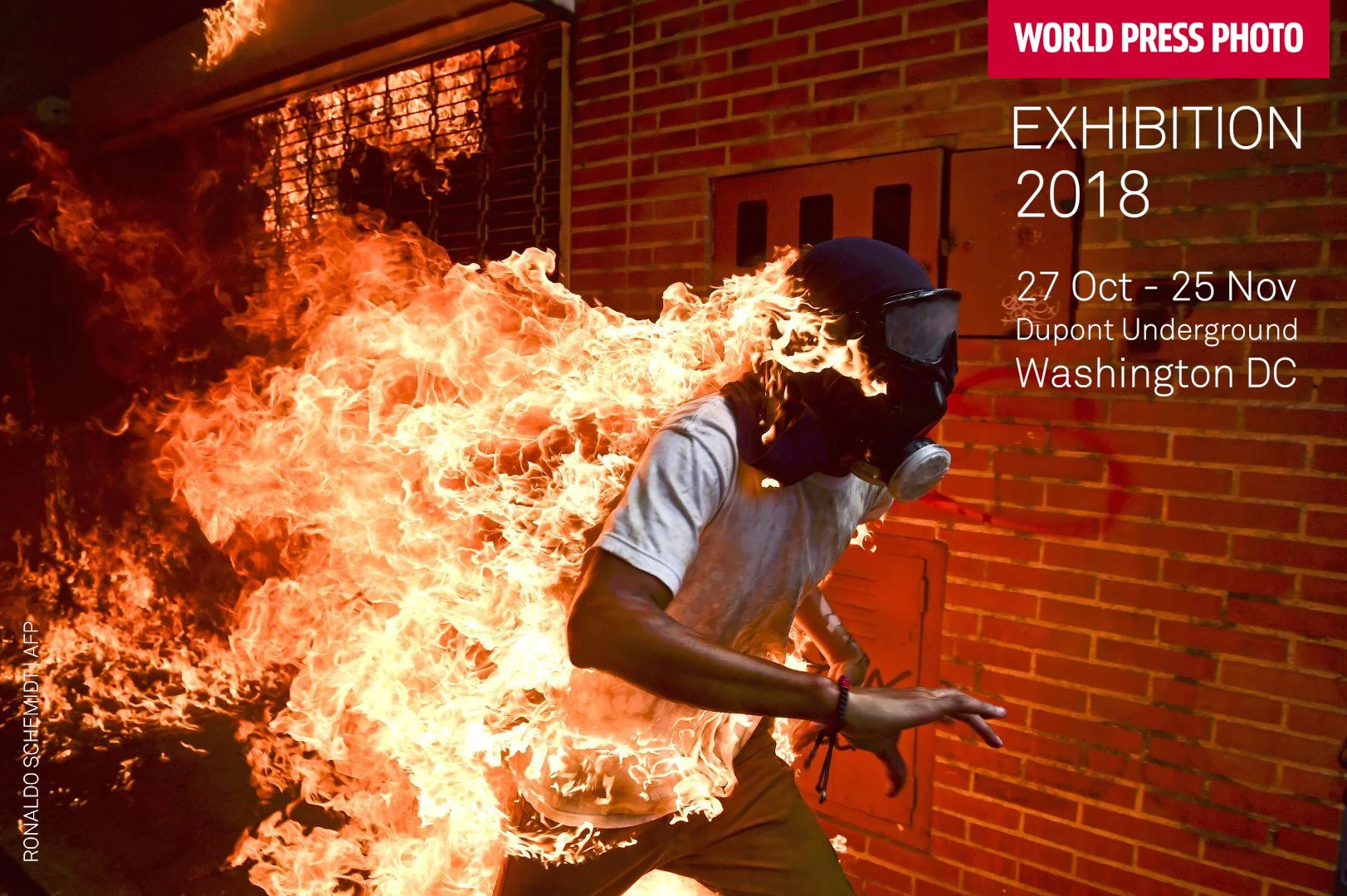 WPP2018image.jpg