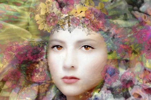 Selected Video Works by Liliane Blom