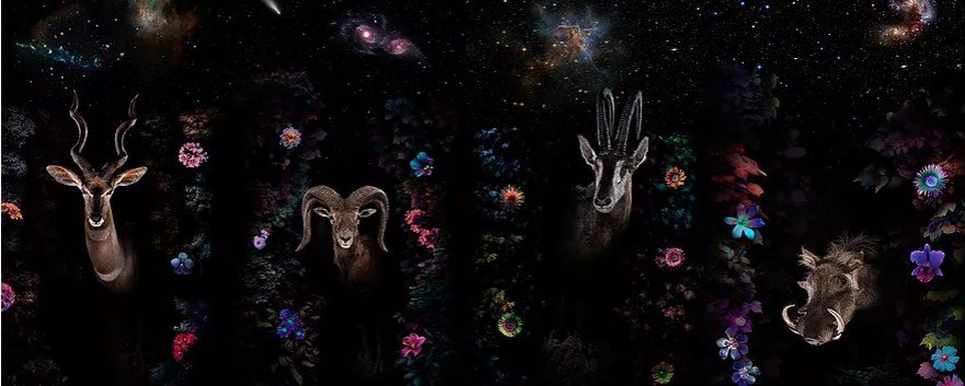 Brian Dailey: An Odyssey