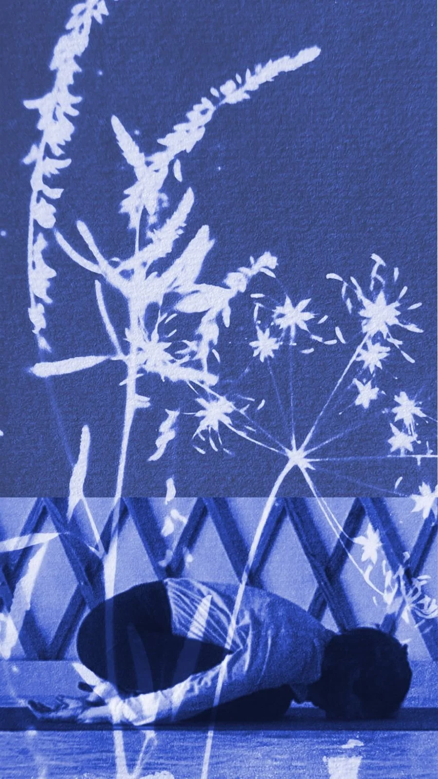 Atelier Yoga et Cyanotype : les transformations silencieuses