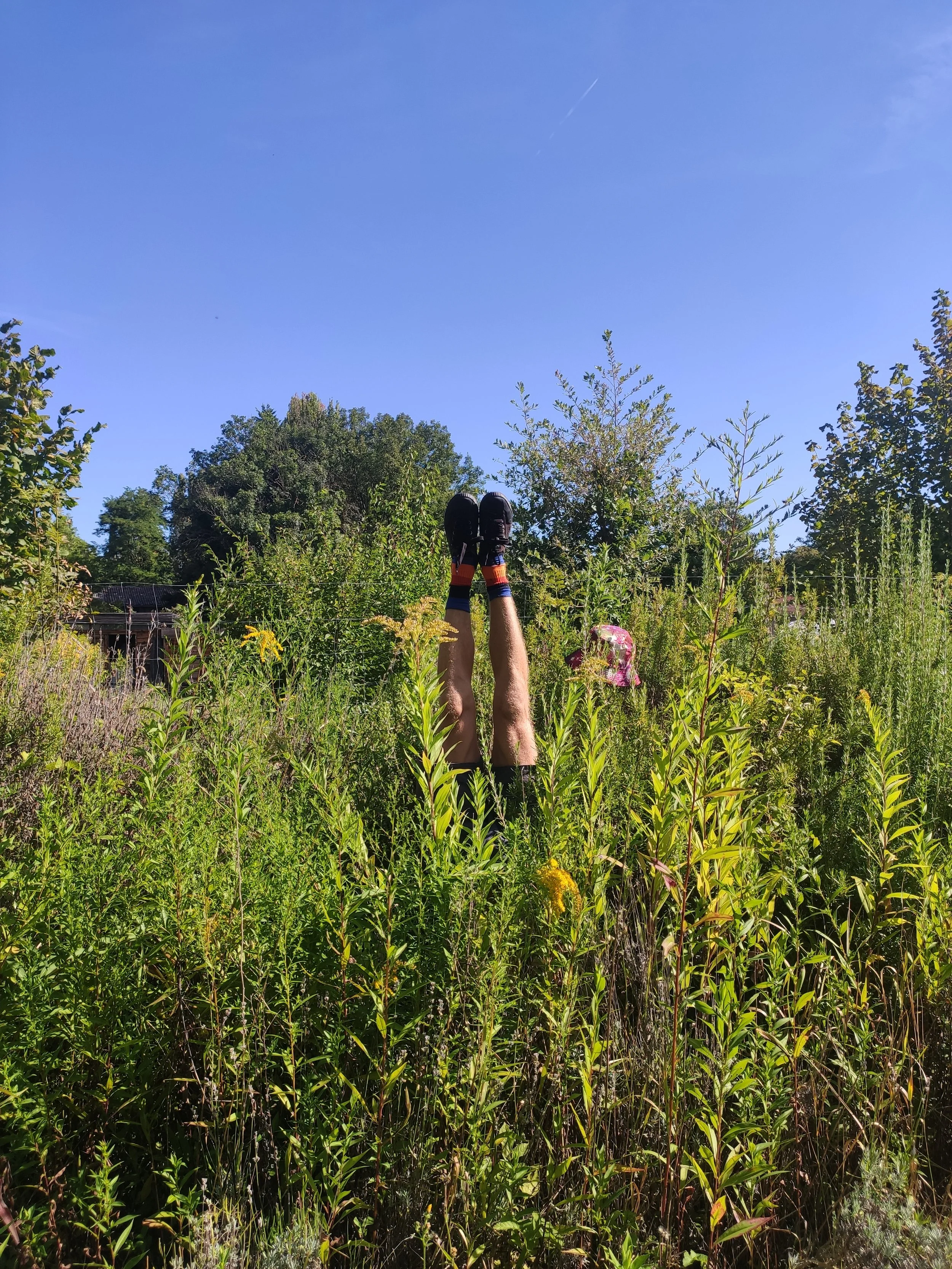 Atelier Yoga des inversions : découverte et appronfondissement 