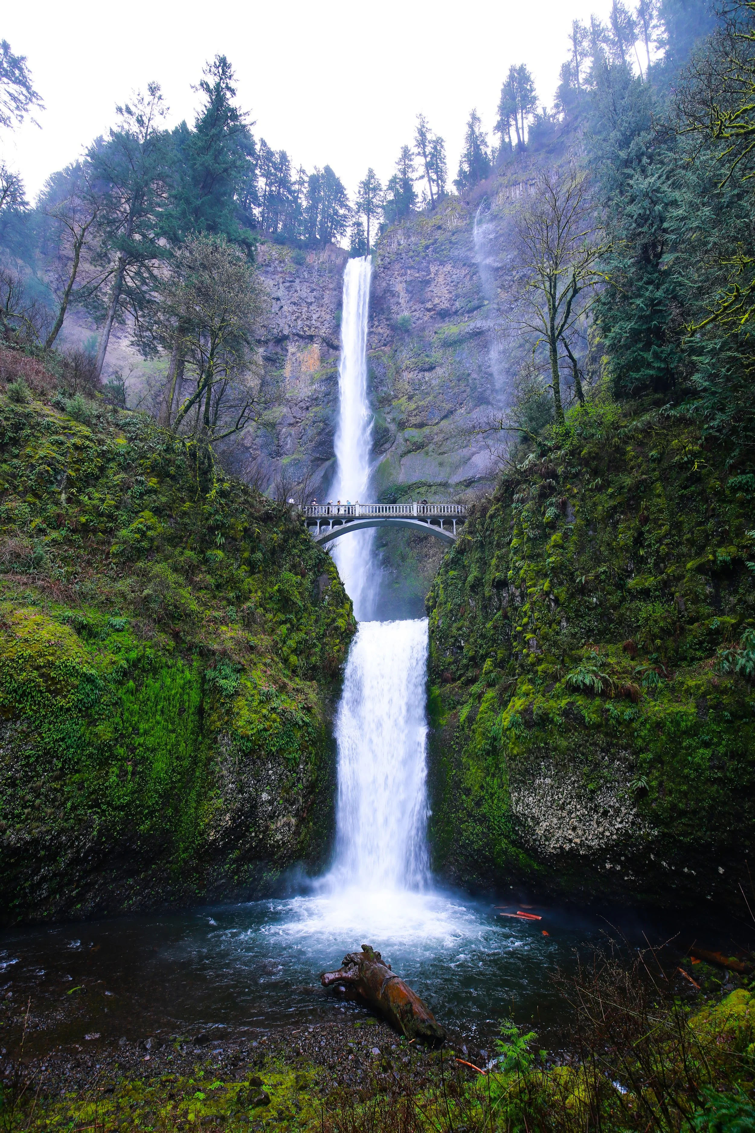 lightroom2 (64 of 75).jpg