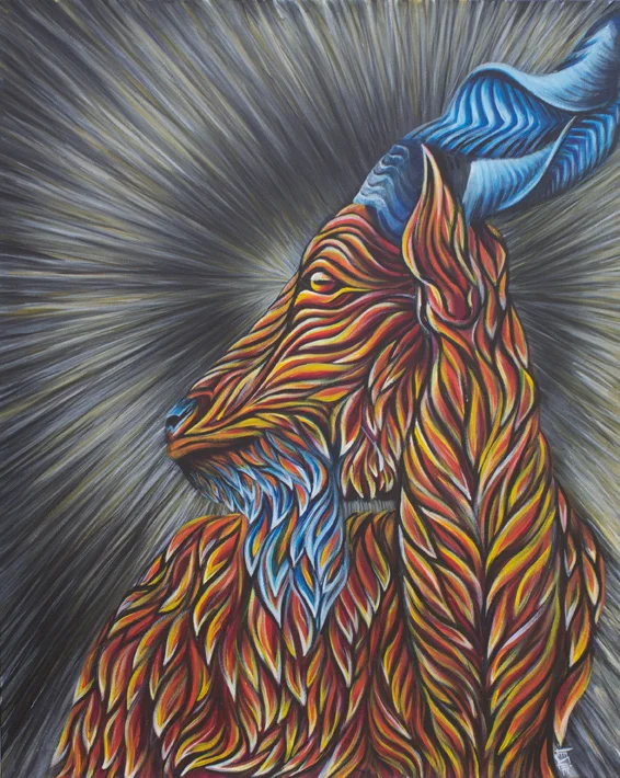 Capricorn Shine